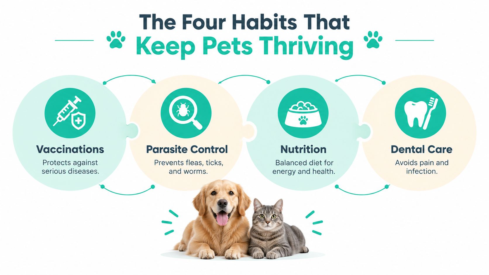 An infographic showing four essential habits for pet health: vaccinations, parasite control, balanced nutrition, and dental care.