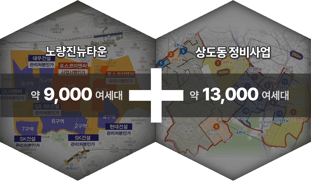 개발비전