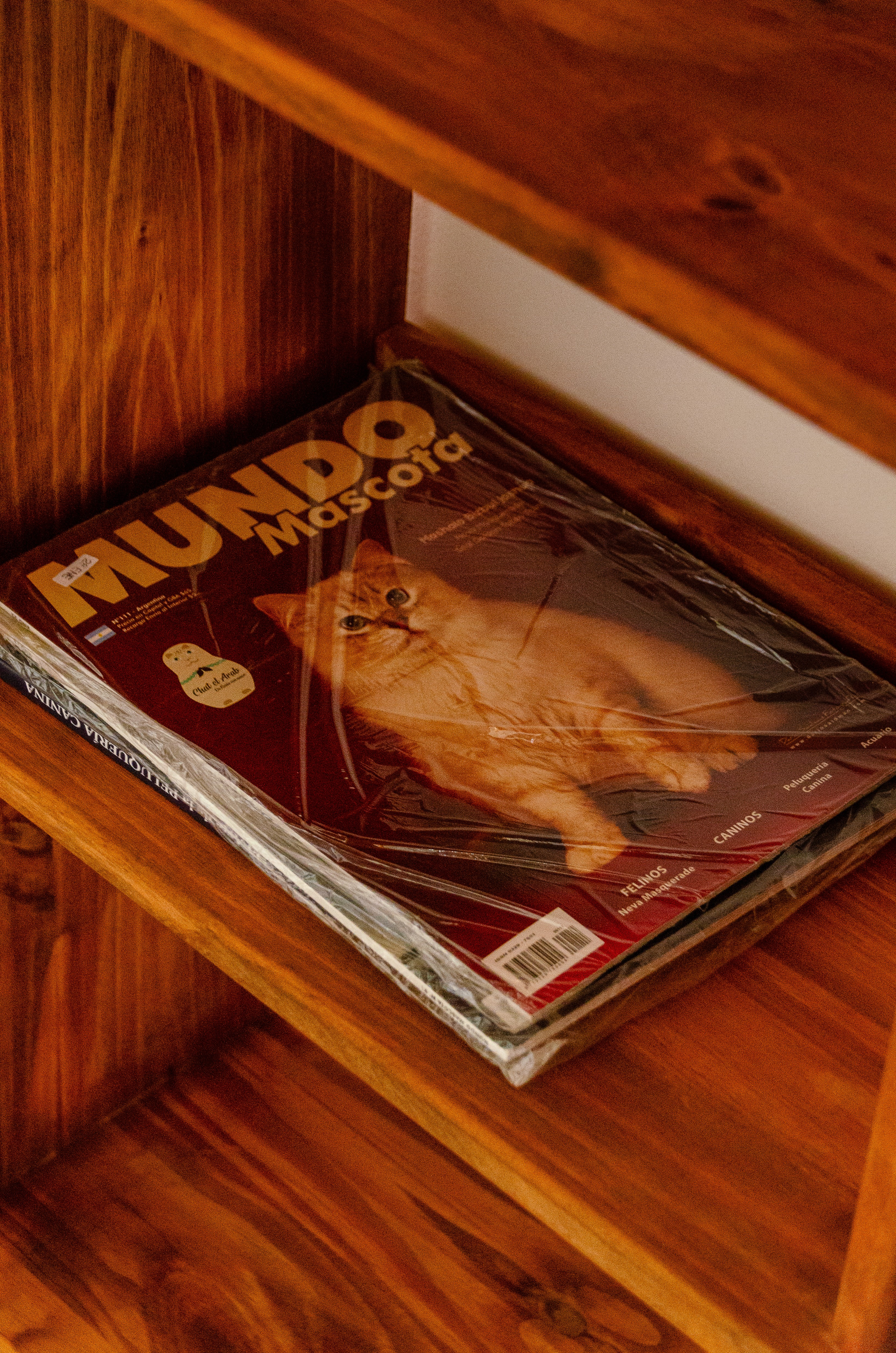 activo-centro-de-dia6