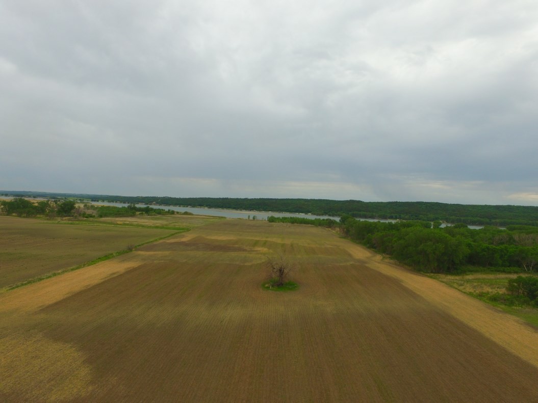 Reinschmidt - Main Image