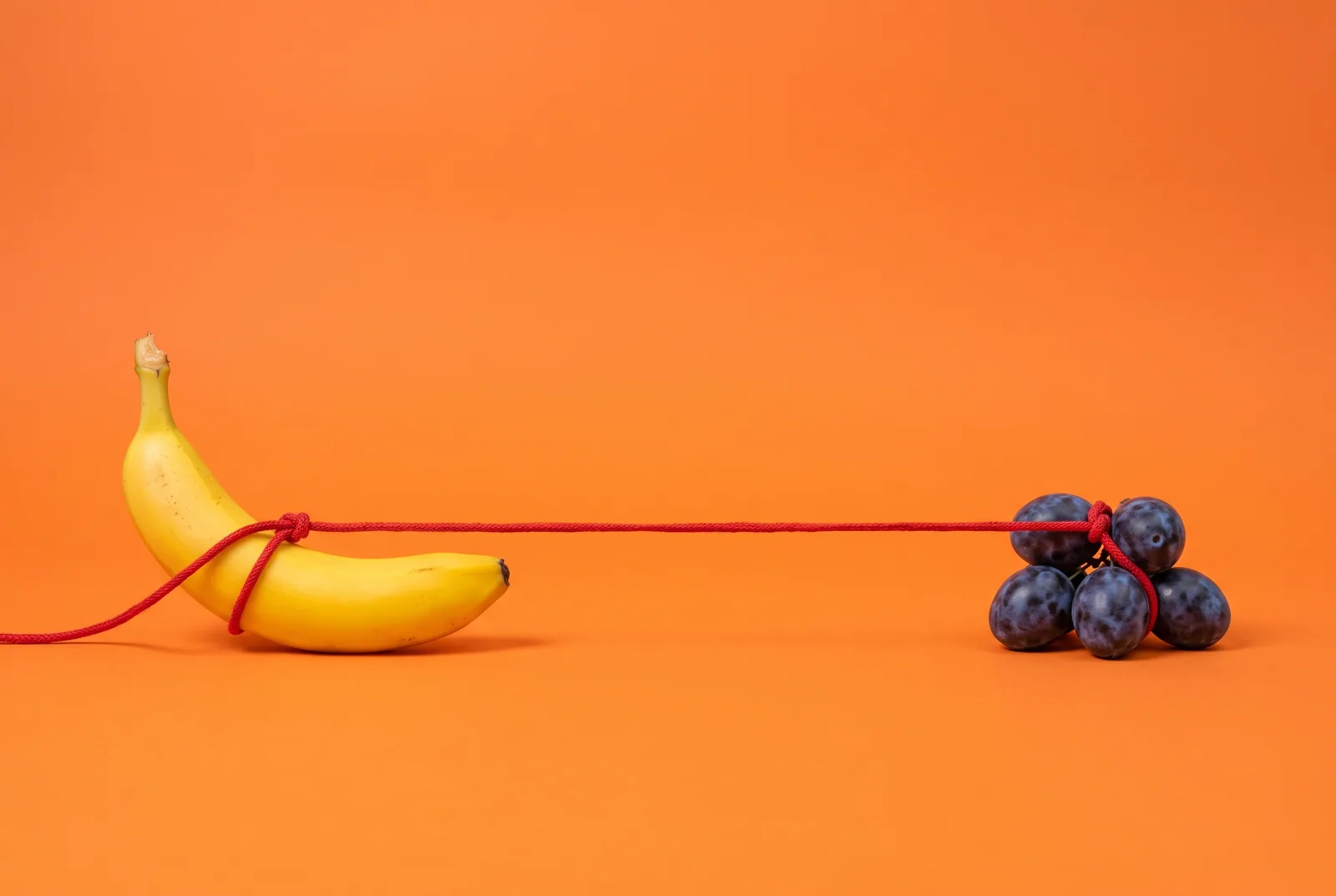 A tug-of-war rope between one banana and five plums, QUITTR vs NoFap head to head