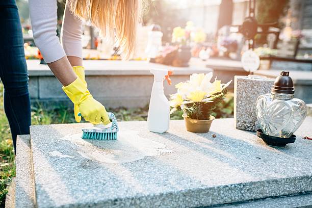 Beautiful landscaped garden with greenery and outdoor design elements.