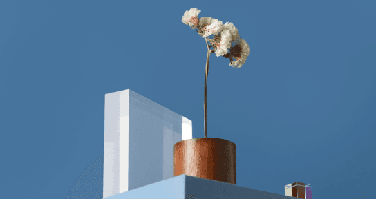 A minimalist still-life composition featuring a small dried flower in a brown wooden pot placed on a light blue geometric pedestal. Behind the pot is a translucent acrylic block, all set against a solid dark blue background with clean lines and soft, natural shadows.