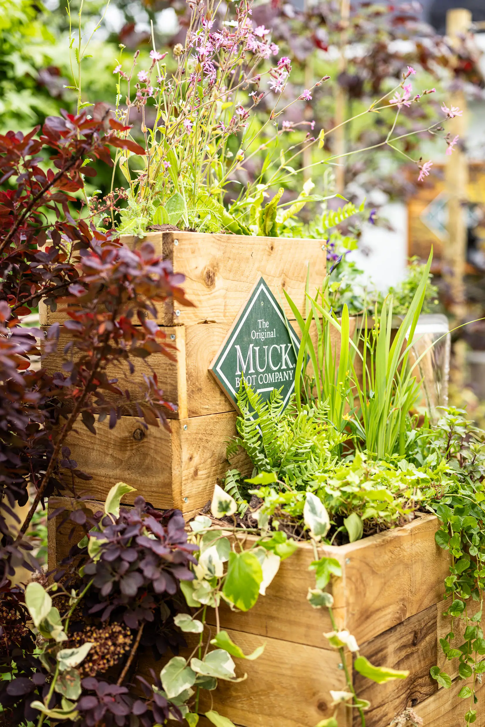 A vibrant display of assorted plants arranged in pots, showcasing a variety of green foliage and colorful flowers.