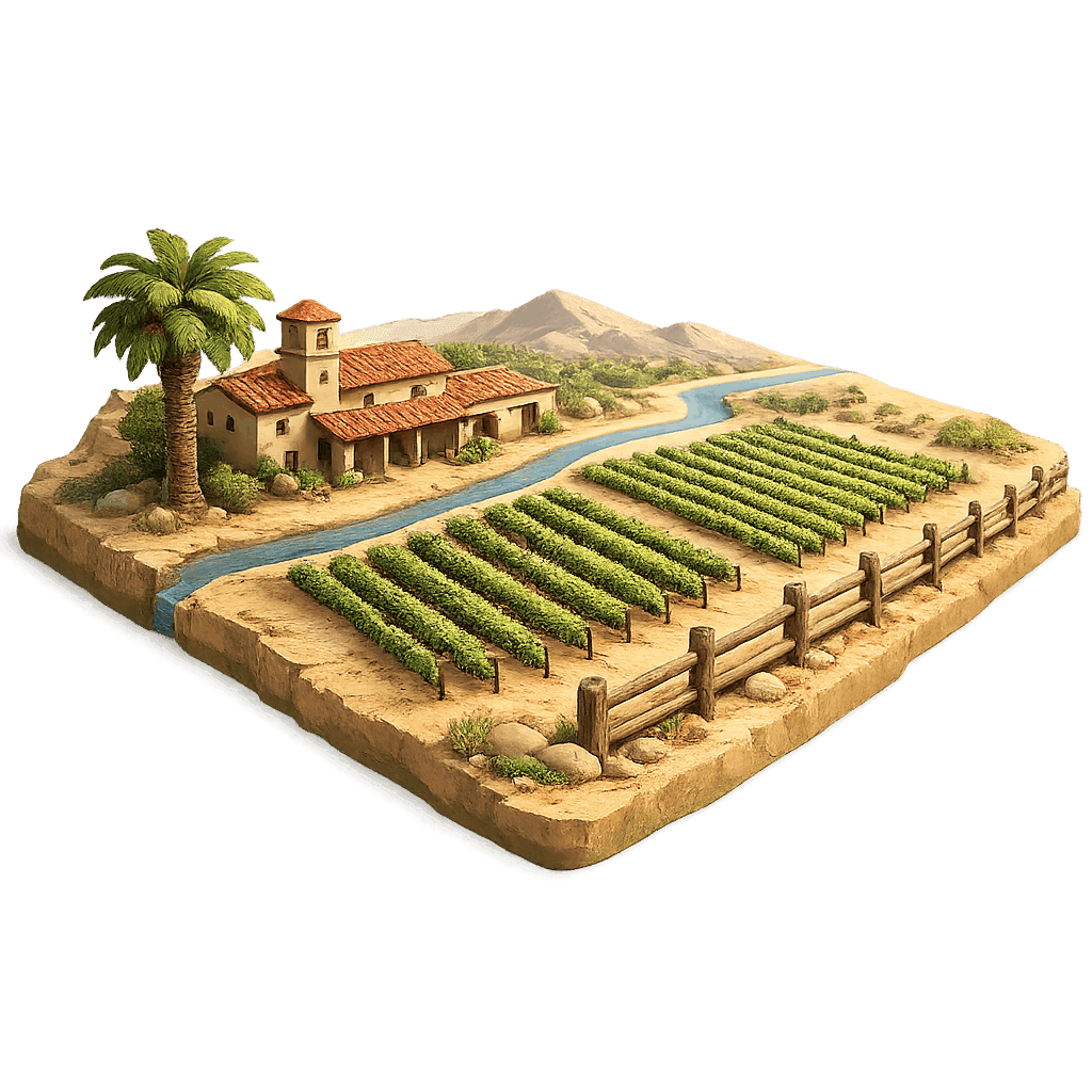 Artistic illustration of the Colchagua Valley wine region.