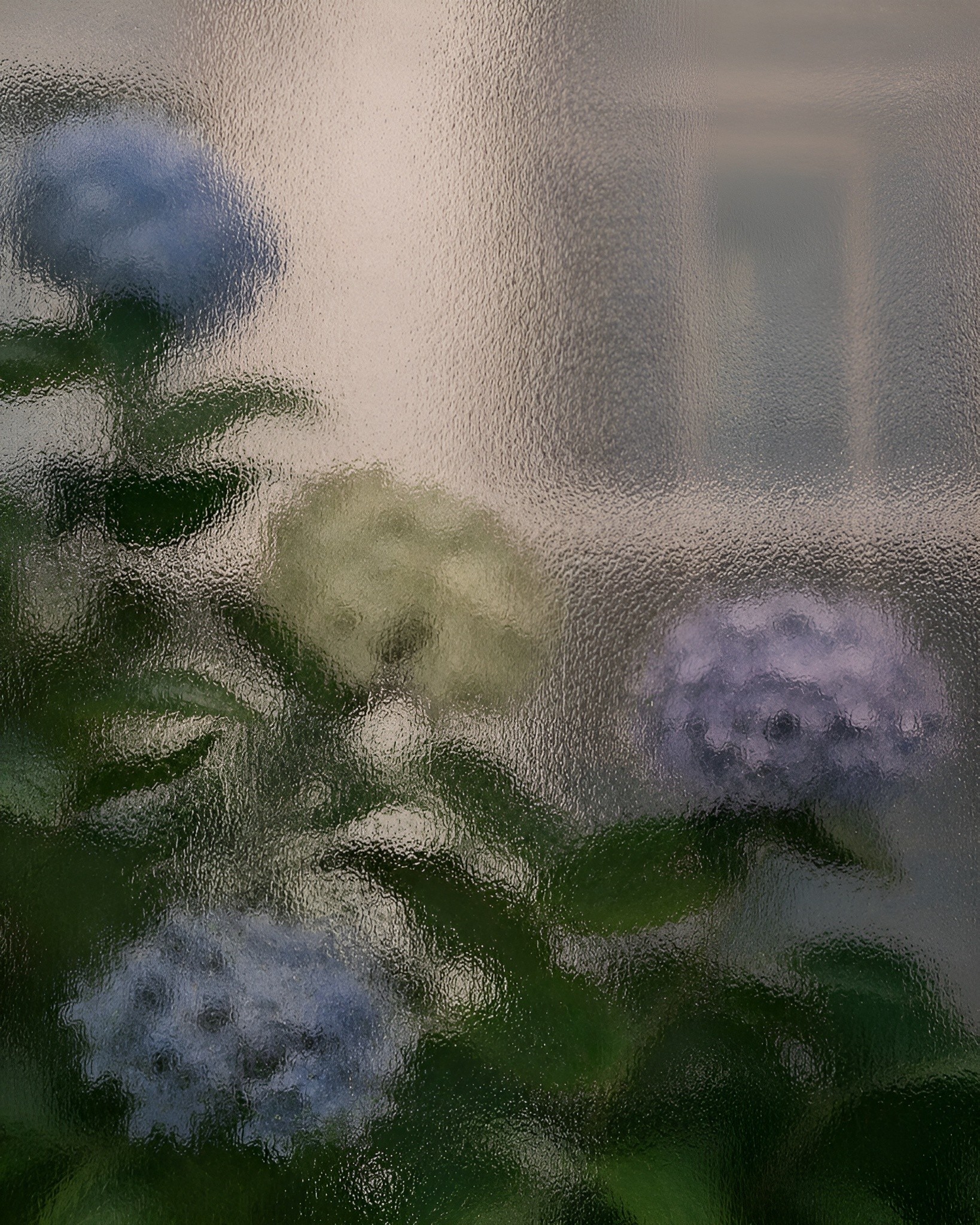 Window with diffused glass obscuring purple and blue flowers behind it, creating a soft, dreamy atmosphere with blurred shapes and gentle color tones.