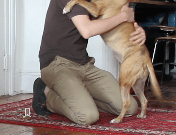 A person kneels on a red patterned rug, wearing a dark brown t-shirt and khaki pants. They are holding a light brown dog with both arms. The dog stands on its hind legs with its front paws resting on the rug. A white door is visible to the left, and a portion of a dark wooden table and chair is visible in the background. The floor is made of dark wood.
