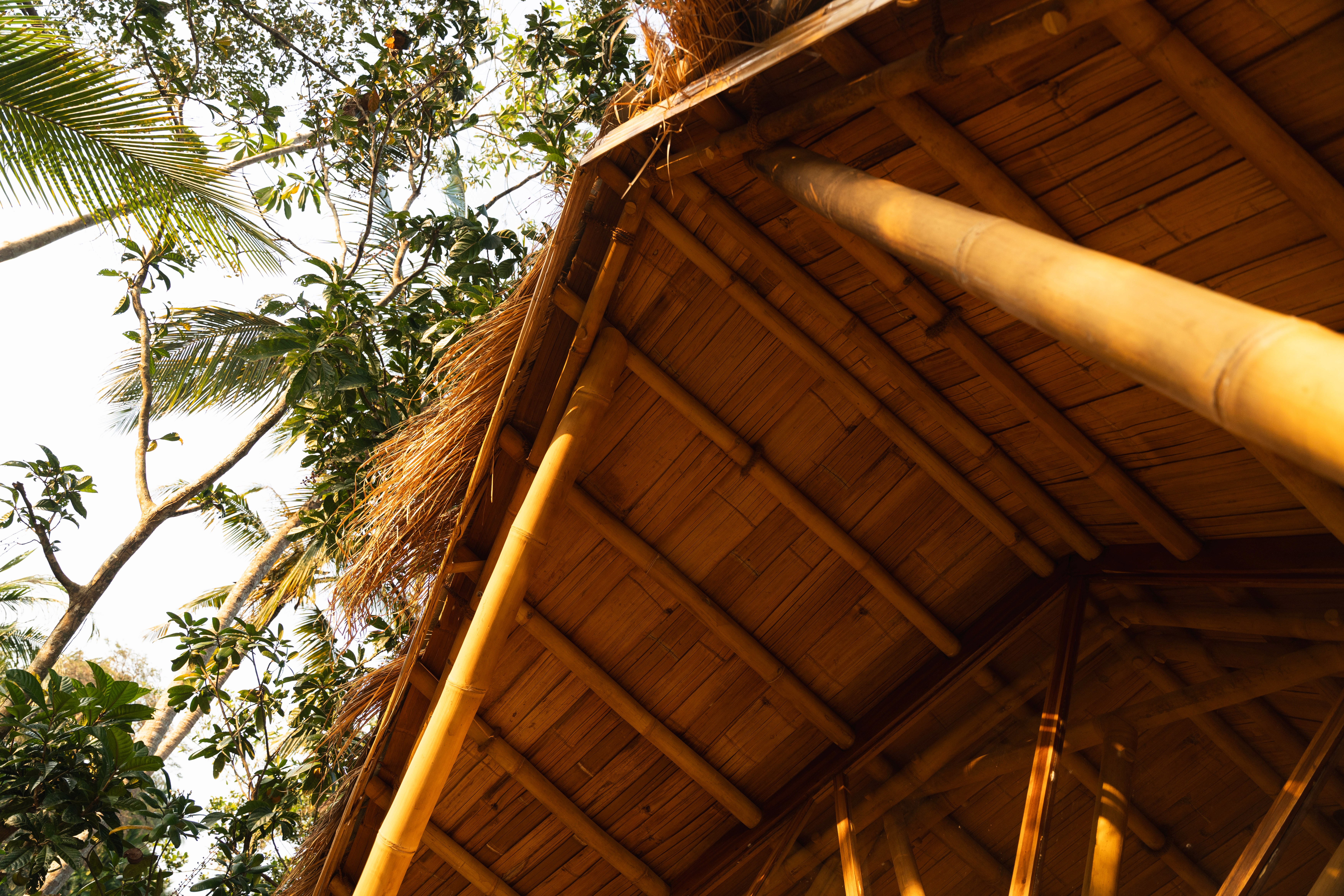 Restaurant of a boutique hotel surrounded by palmtrees at golden hour