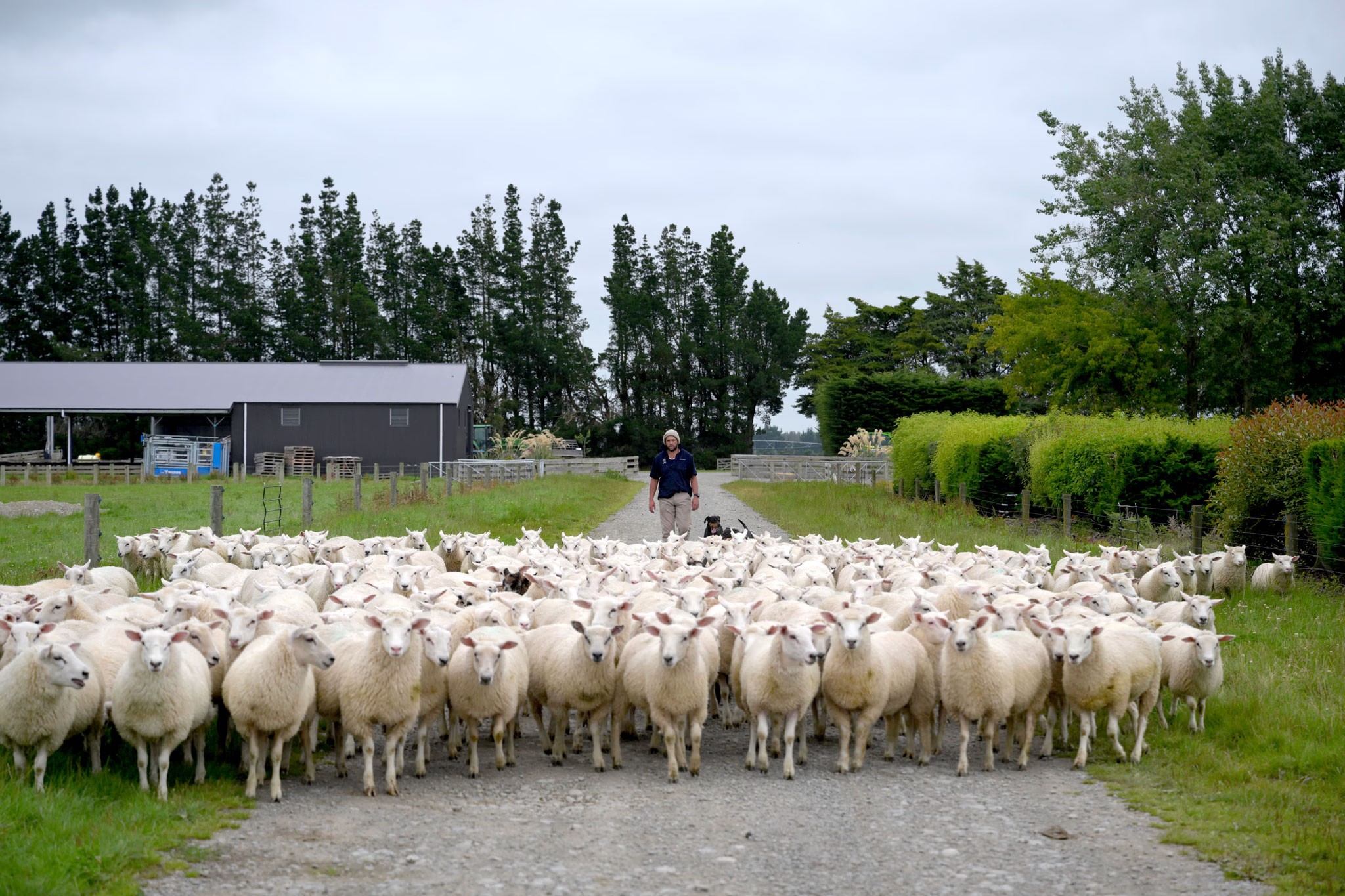 Alpine Pastures Group