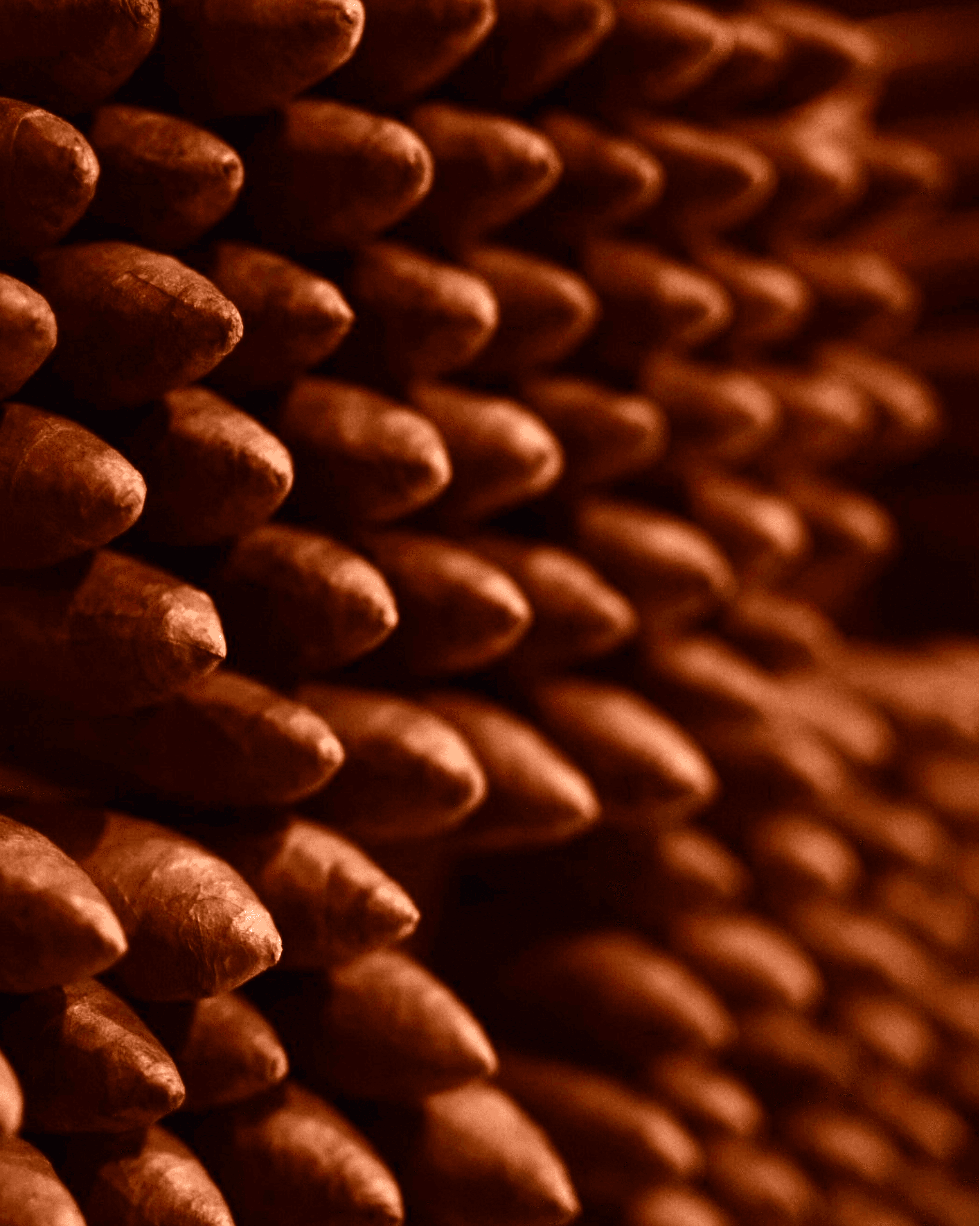 Chazaro Cigars