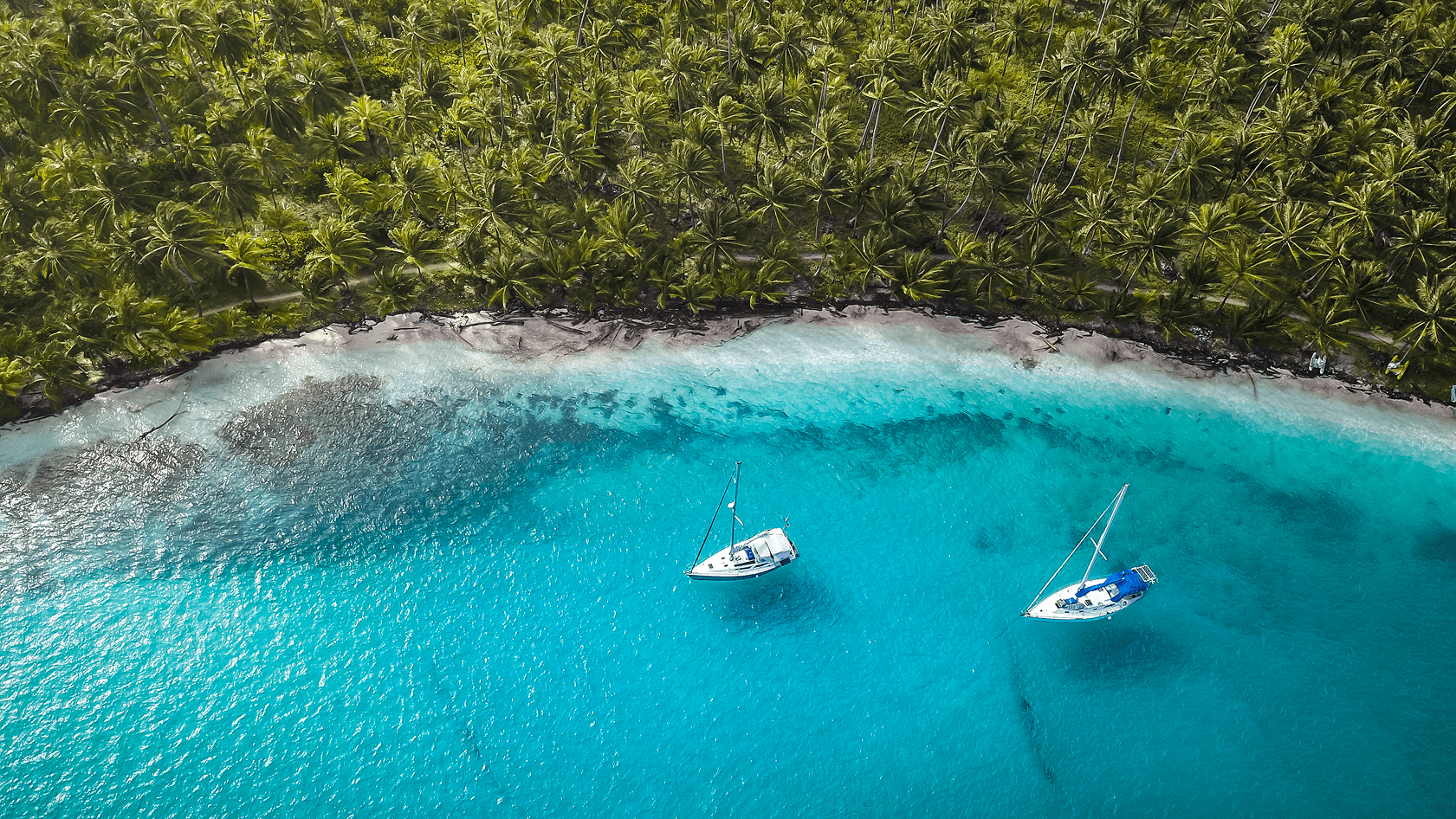 Tropical paradise: Two sailboats in clear blue water next to a palm beach.