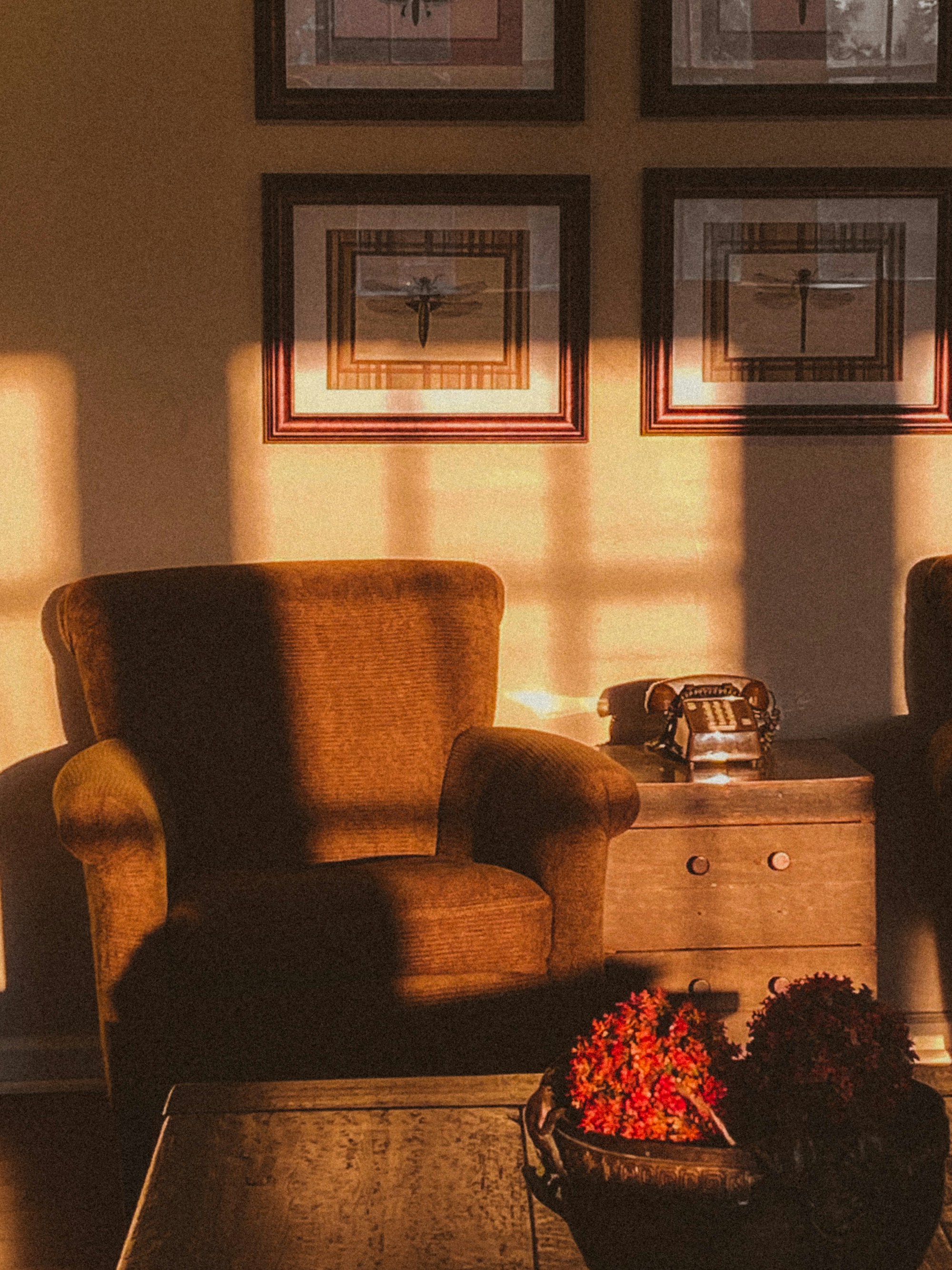 A warm, sunlit armchair in a quiet room