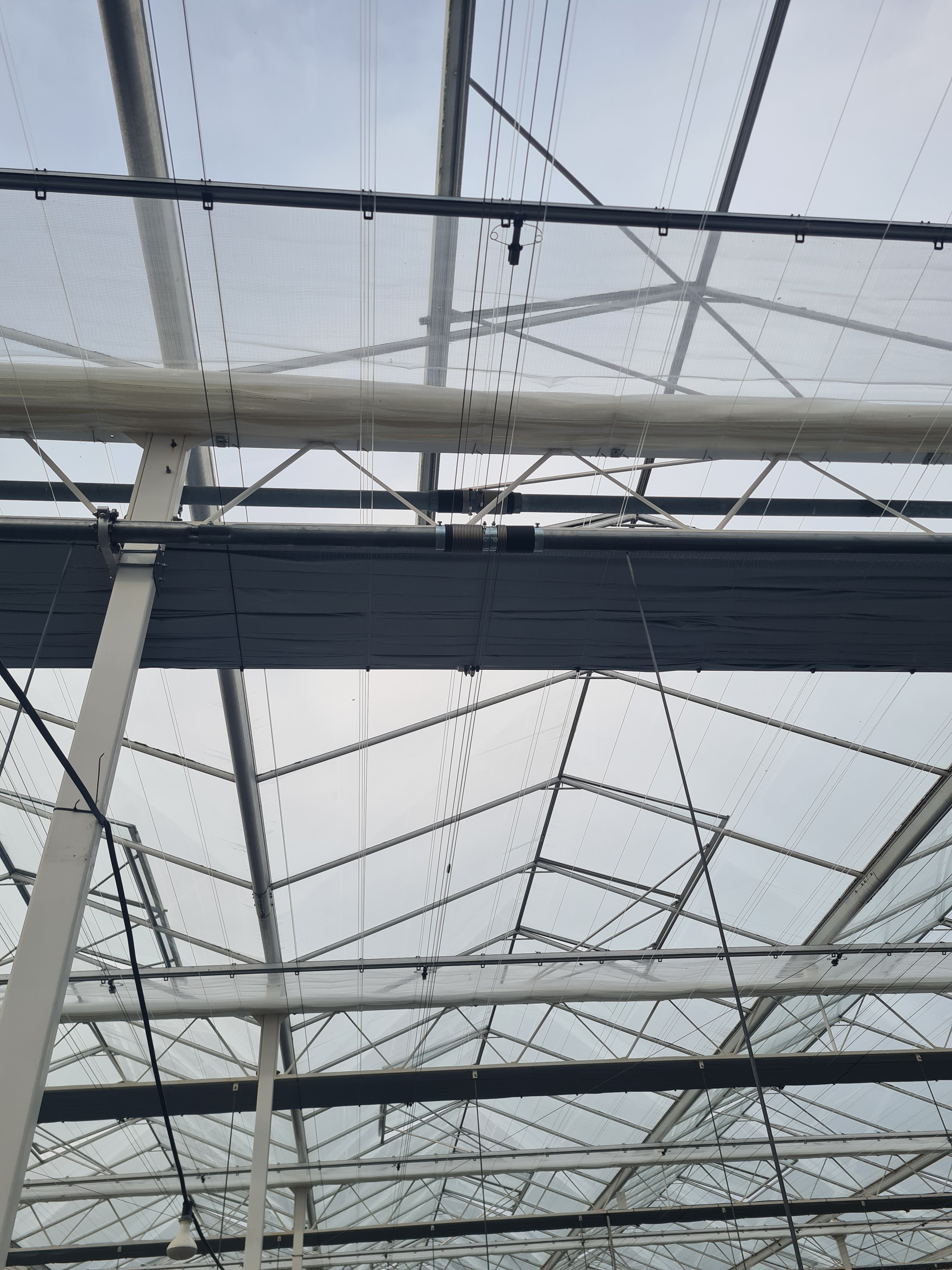 Horti XS projects CanAdelaar