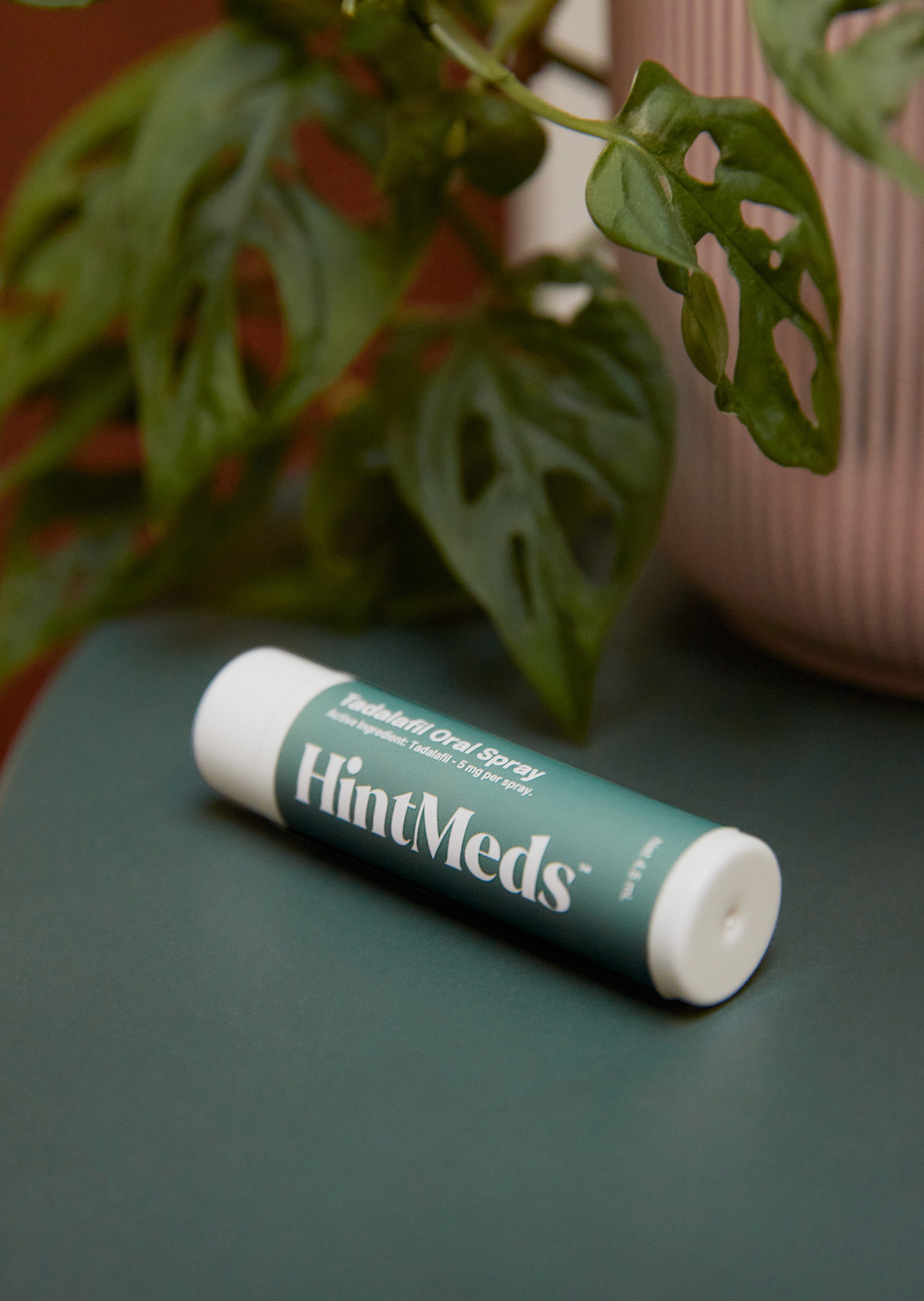 A green tube resting on a dark surface, surrounded by a leafy plant and a terracotta pot in the background.