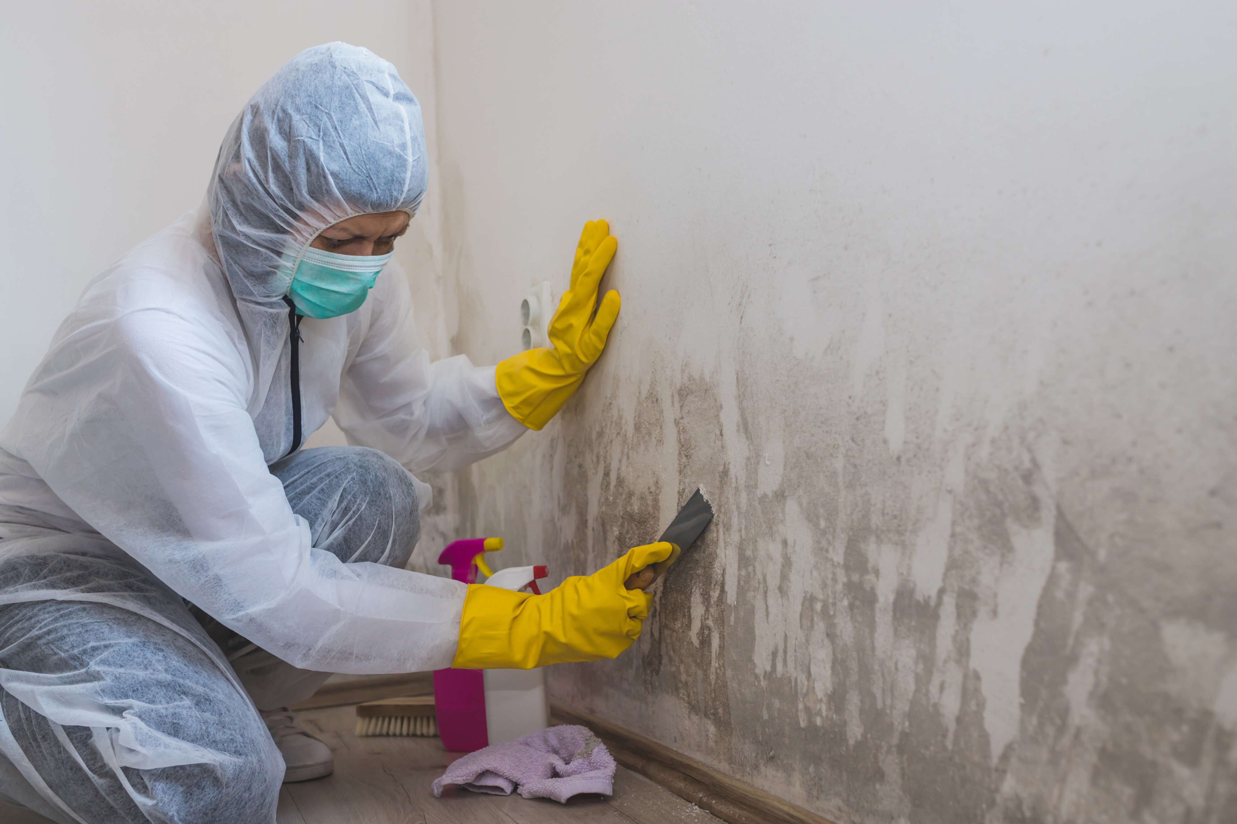 Top 5 Causes of Mold Growth in Bothell Homes Revealed!