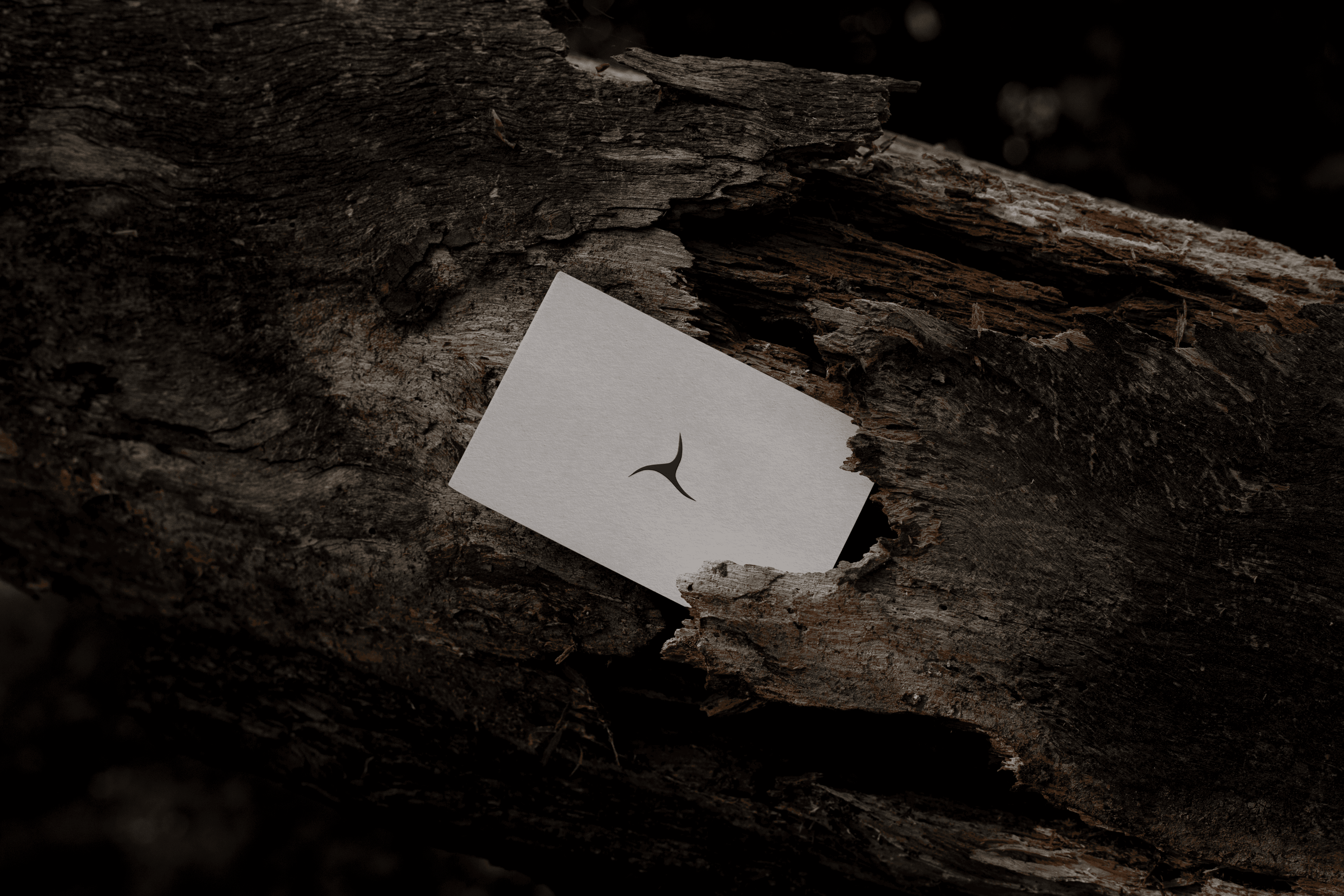 business card mockup UPC by analogue agancy