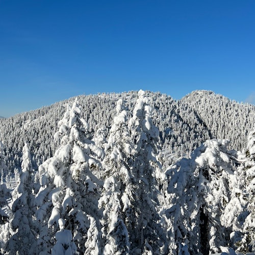 Nothing better than blue skies after a fresh snowfall.