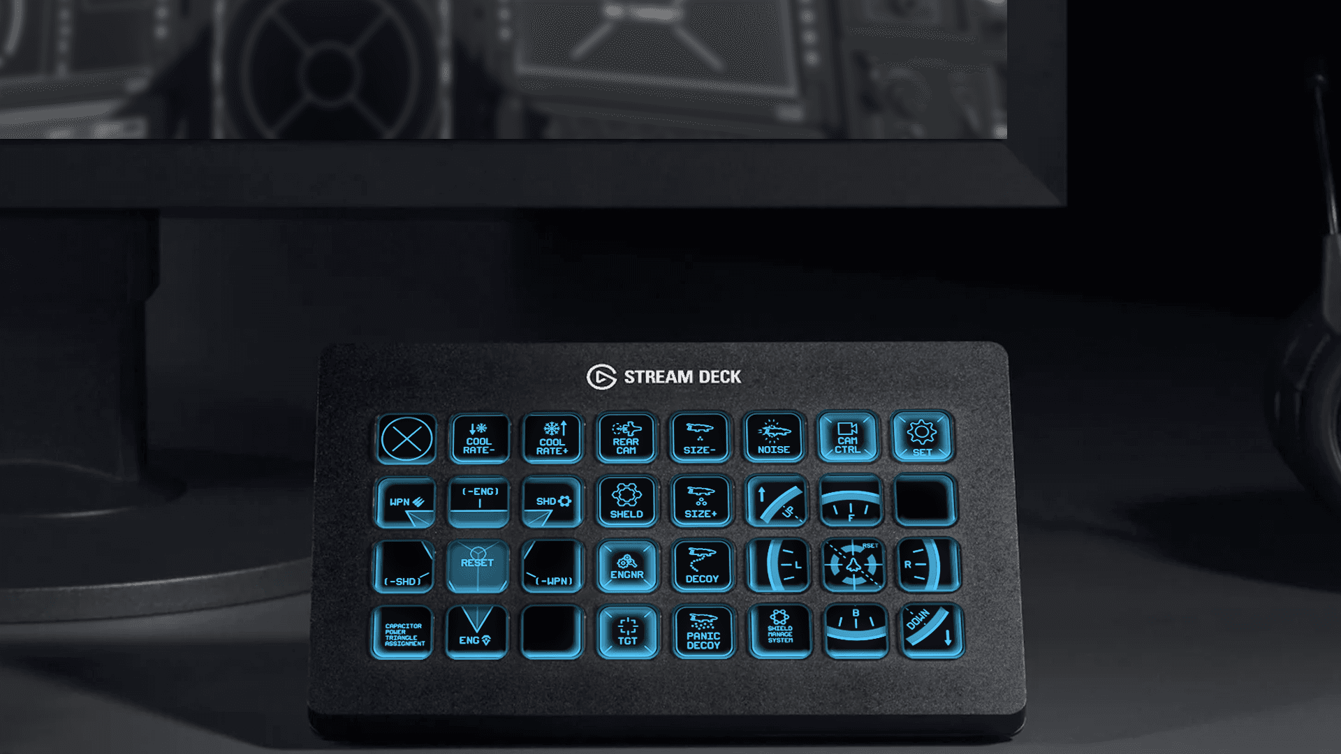 Detail of coniferous tree