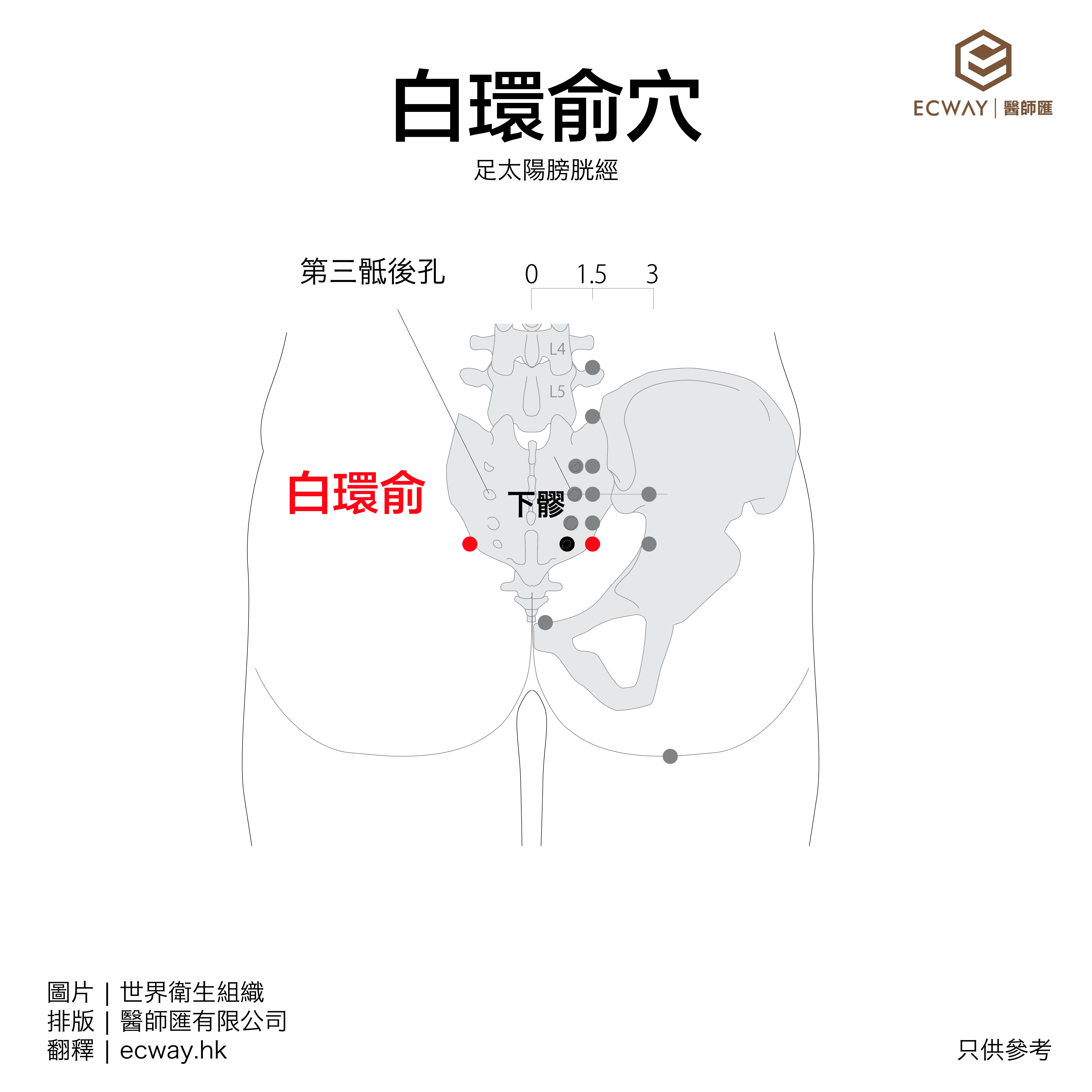 白環俞穴