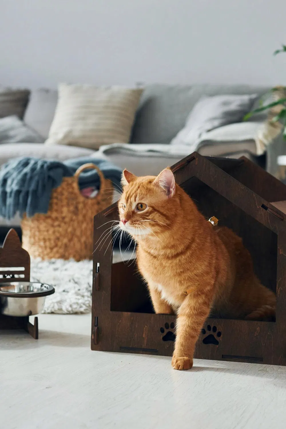 Lakehaven Vet team member in scrubs ready to care for dogs and cats in Benton, Louisiana.