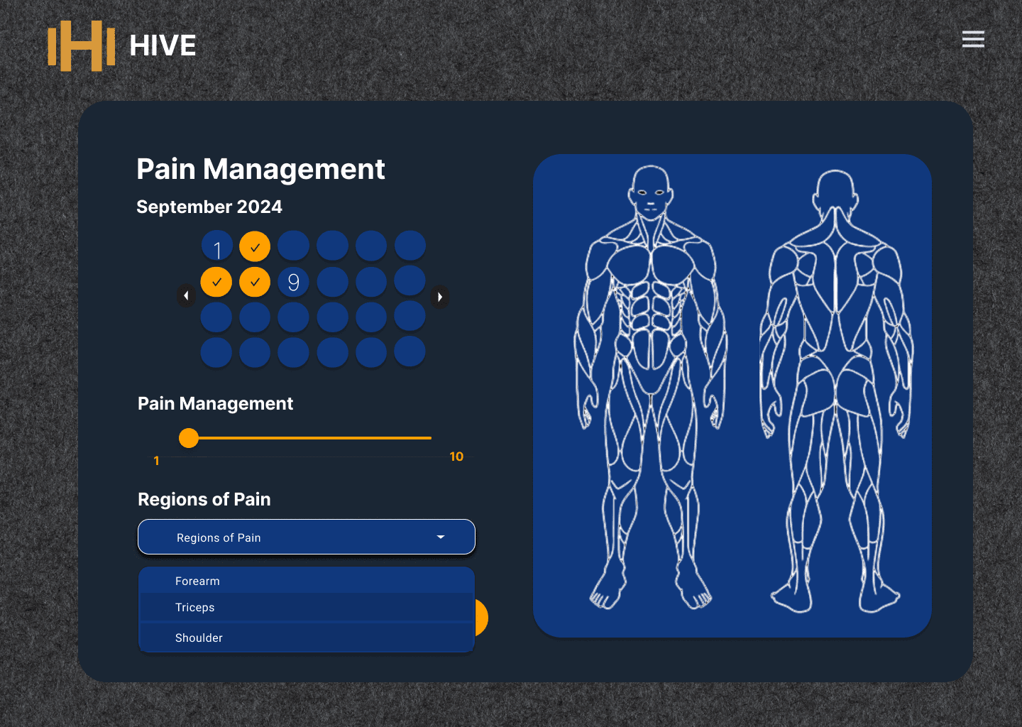 brainstorming for Hive's logo, photo of a sketchbook