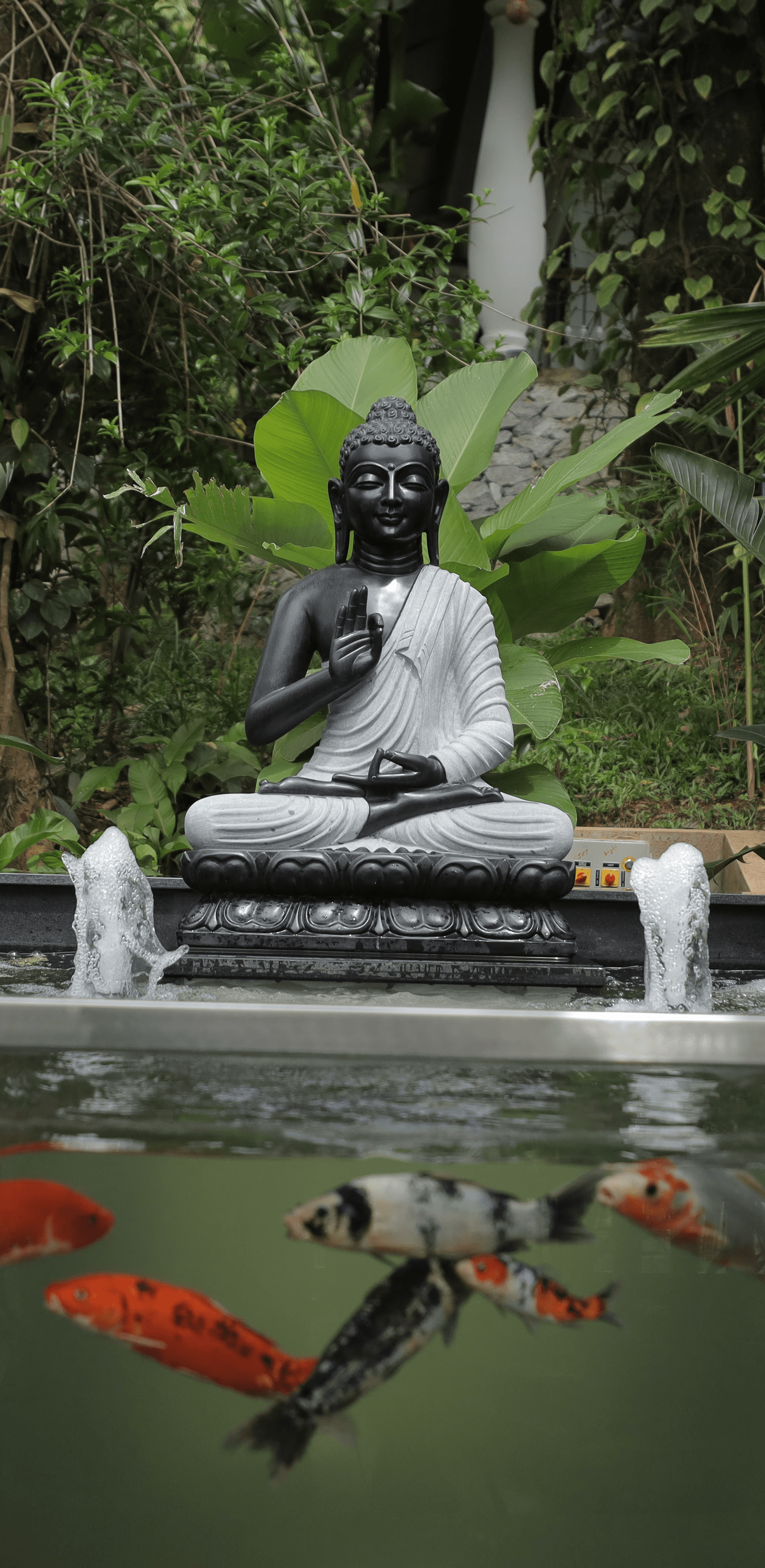 Koi pond designed and built for resort by Orenda Pools in Bangalore