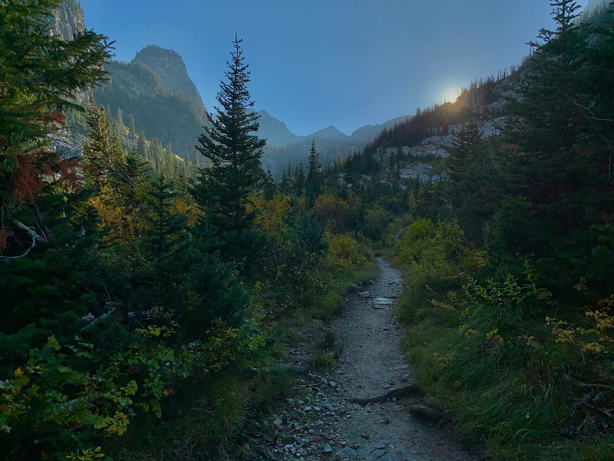 Early sun on a quiet mountain trail in an American national park
