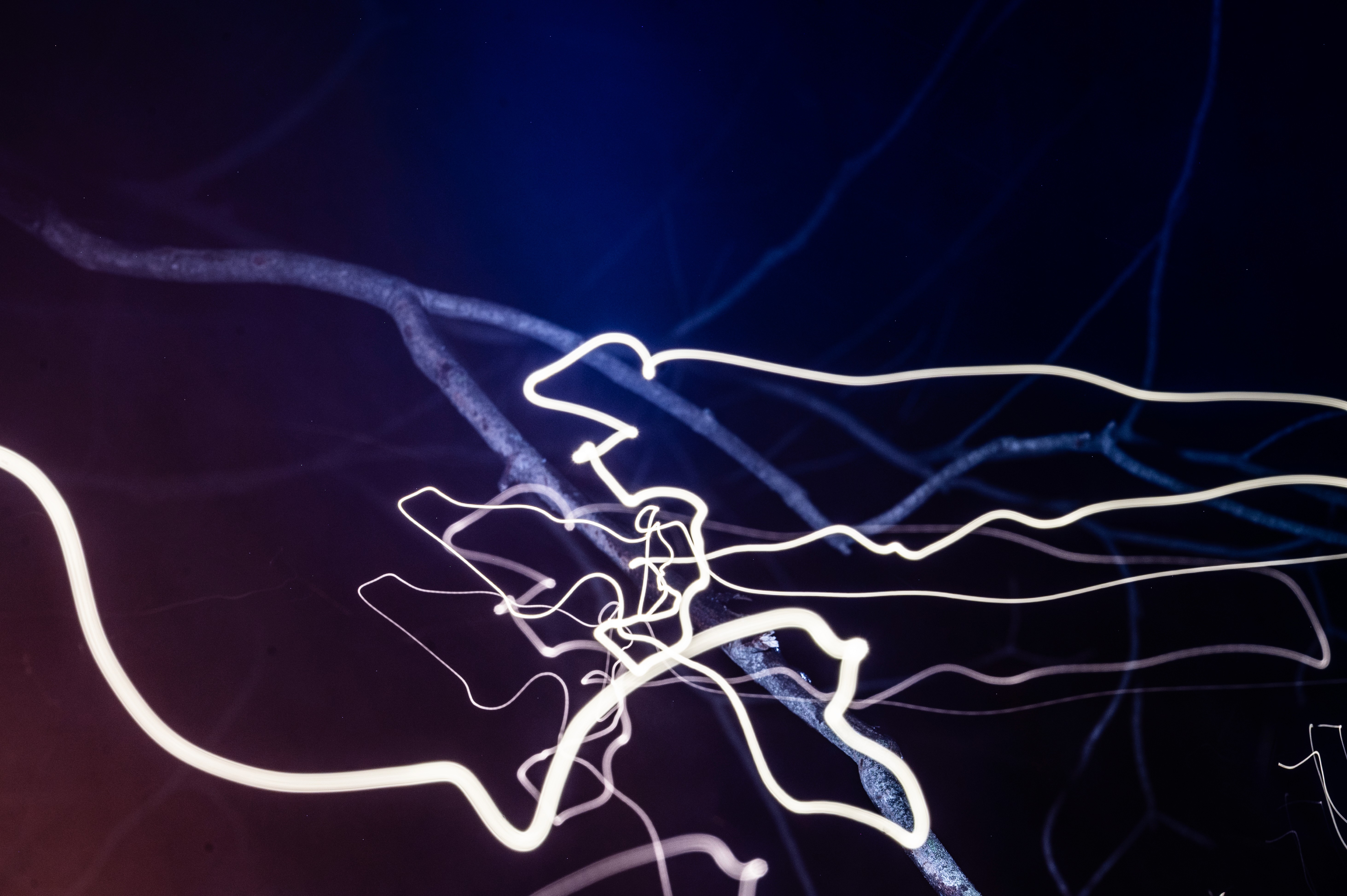 A DRUNK DRIVING MEMORIAL. SPRING 2025. COLLINSVILLE, CT. NIKON Z6.