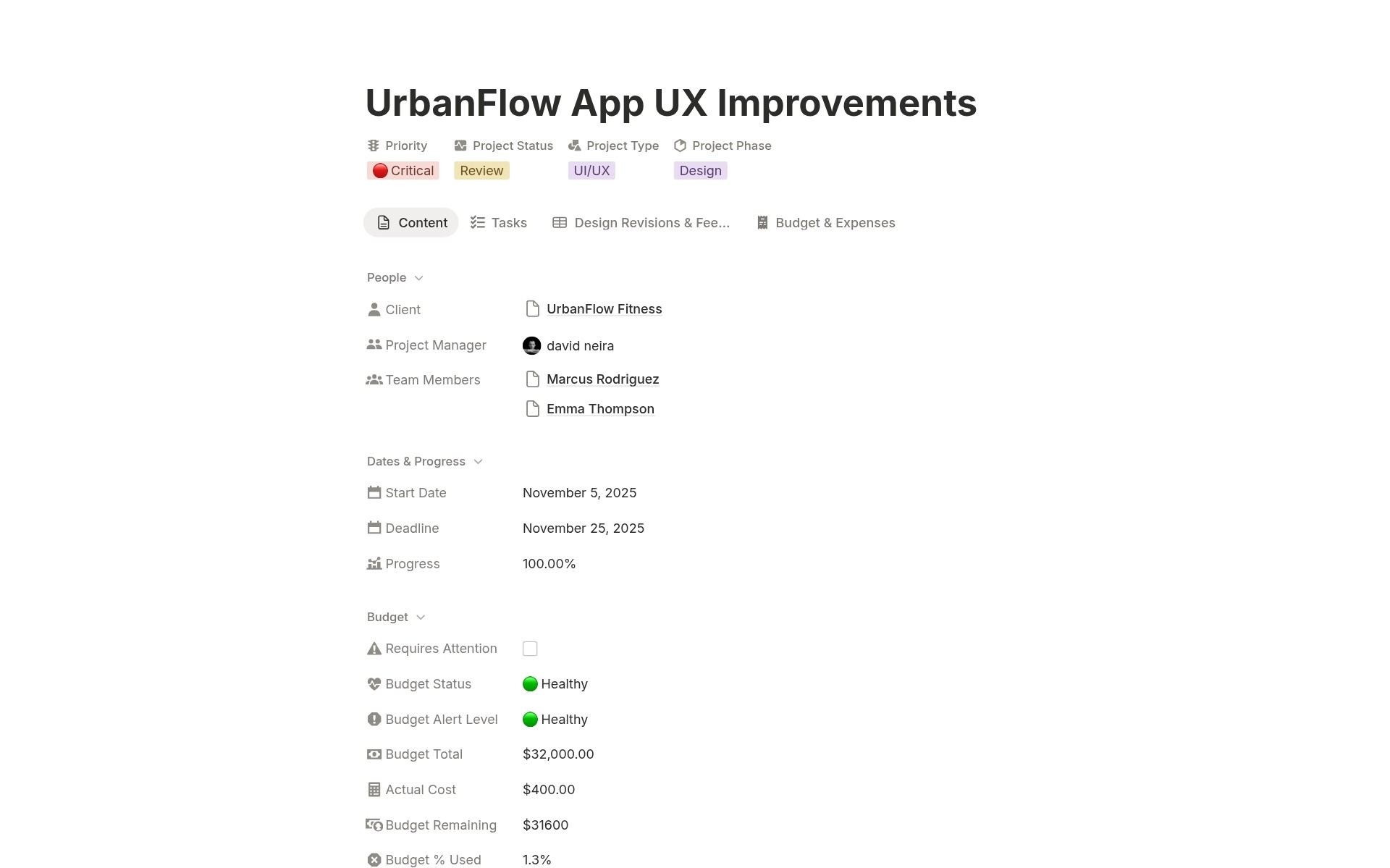 UX project management screenshot