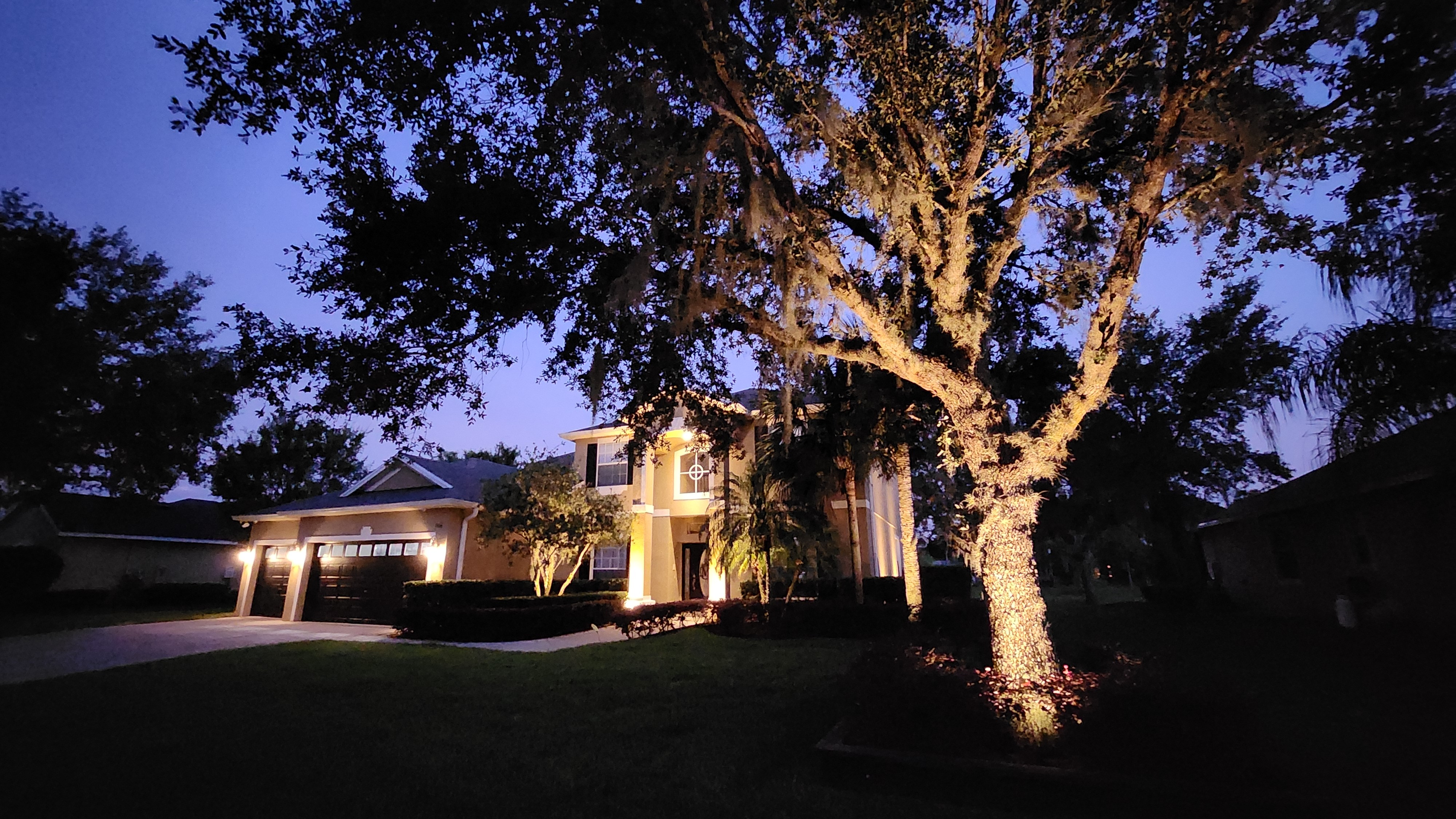 Mature oak tree highlighted with professional ground uplighting at dusk