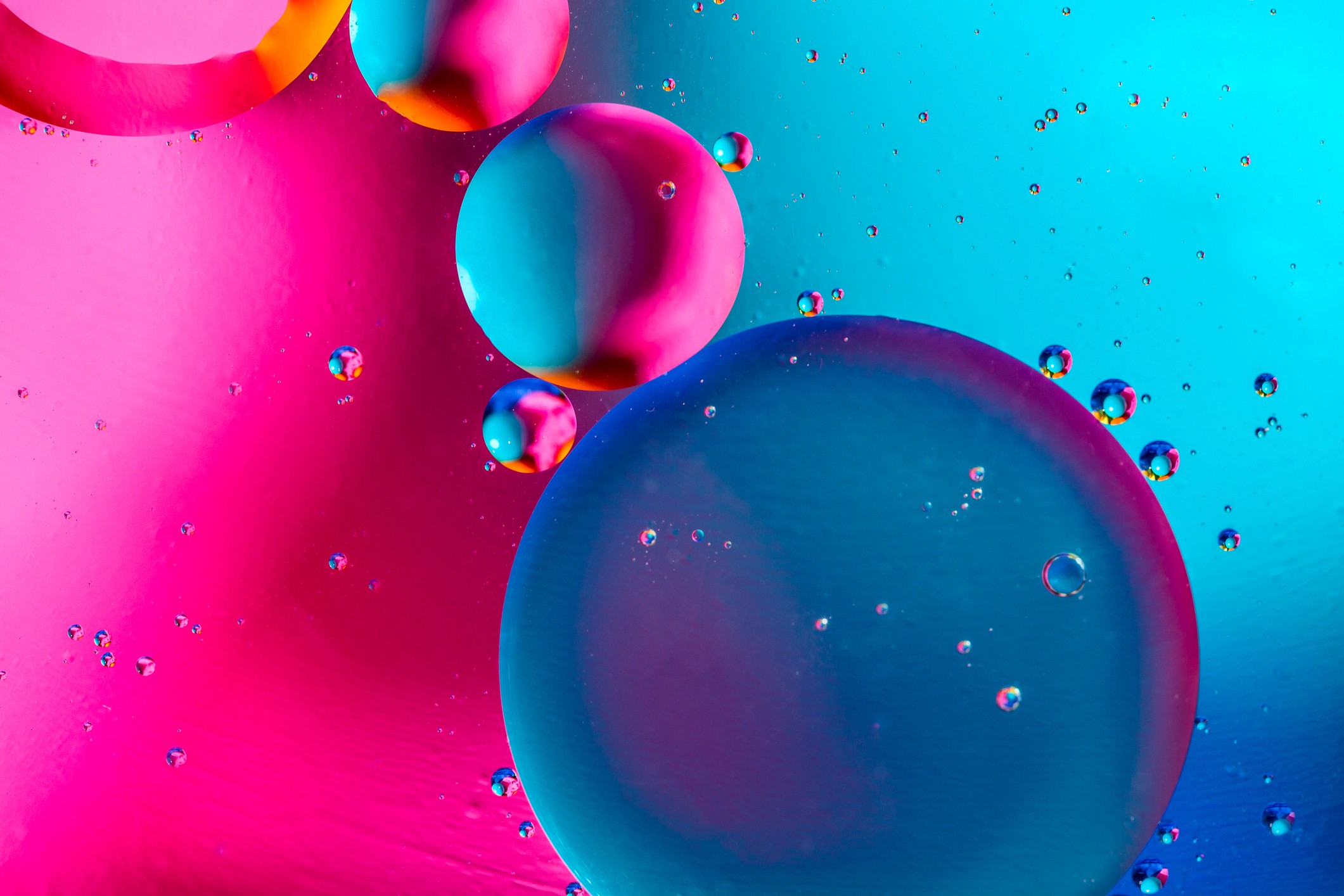 Macro photograph of oil bubbles of varying sizes on a pink and cyan gradient background