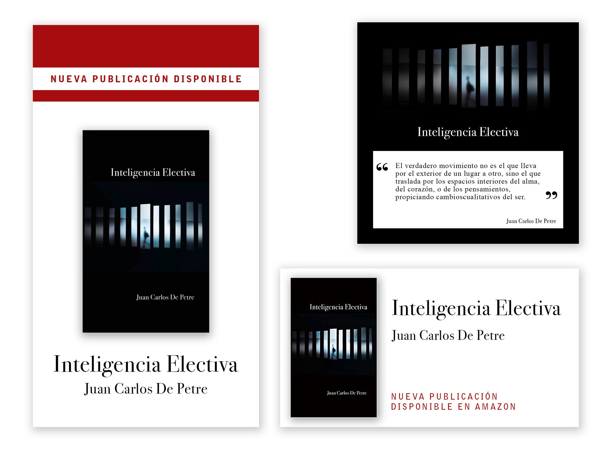 Piezas promocionales del libro