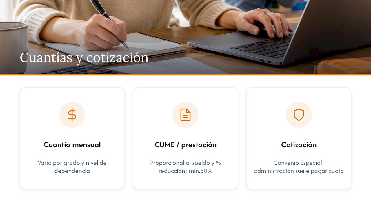 Cuantías orientativas y cotización a la Seguridad Social para cuidadores — overview diagram