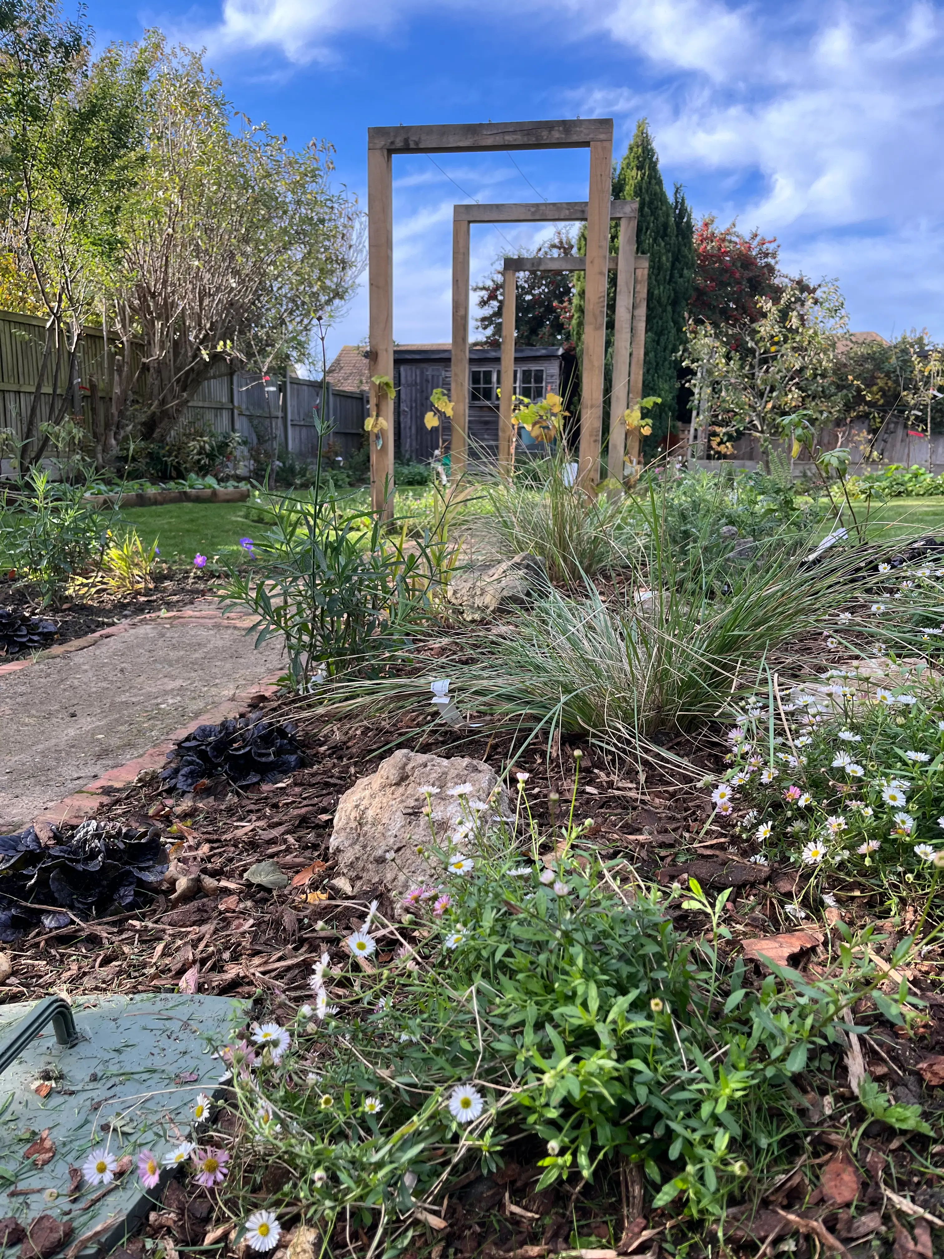 A scenic garden with a variety of plants, a stone pathway, and a wooden archway under a blue sky.