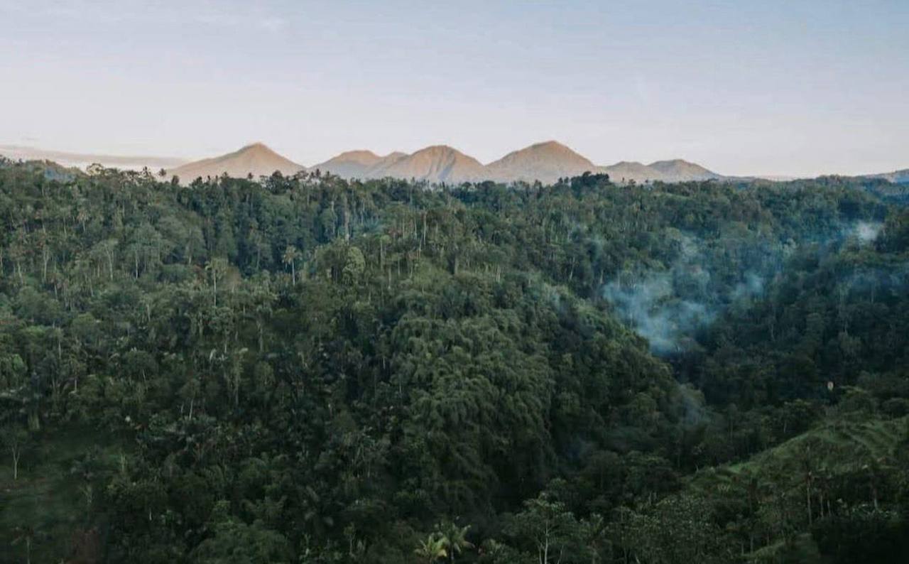 Land plot 4,000 m² in Buahan, Ubud area, Leasehold