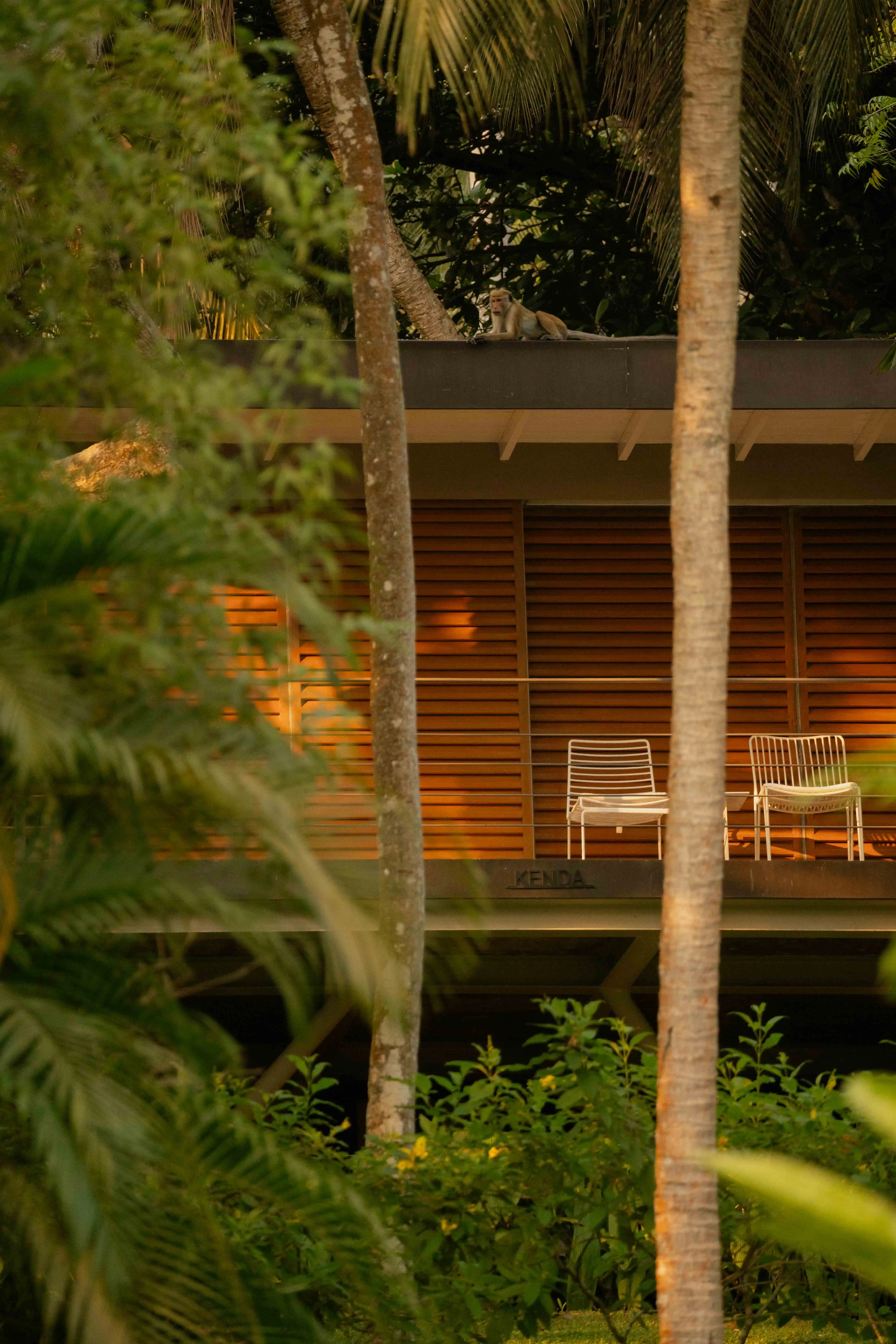 Tree house in the jungle