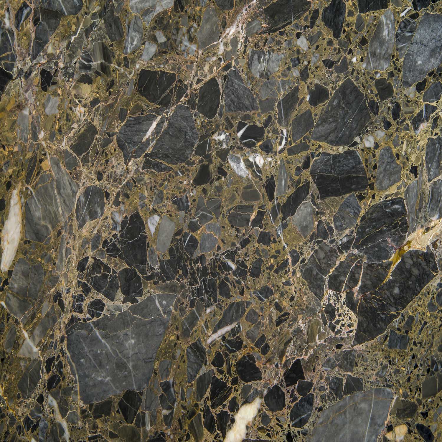 Polierte Dark Tropical Marmorfläche mit exotischem Muster