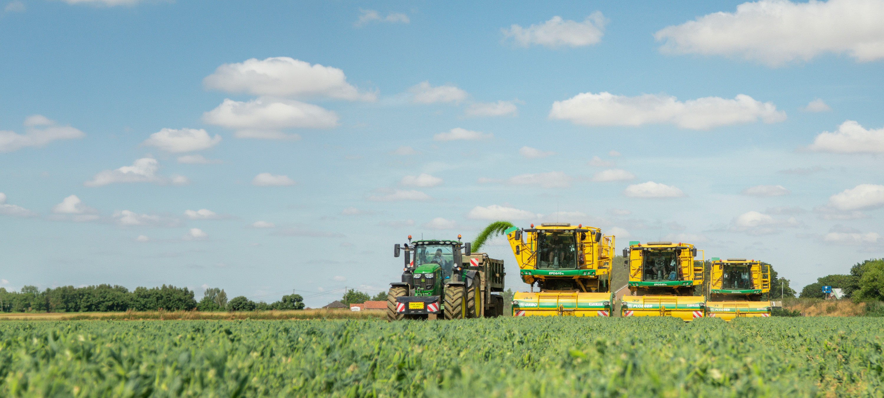 Pea harvesters and a tractor working across a lush green pea field under a bright summer sky in Lincolnshire.