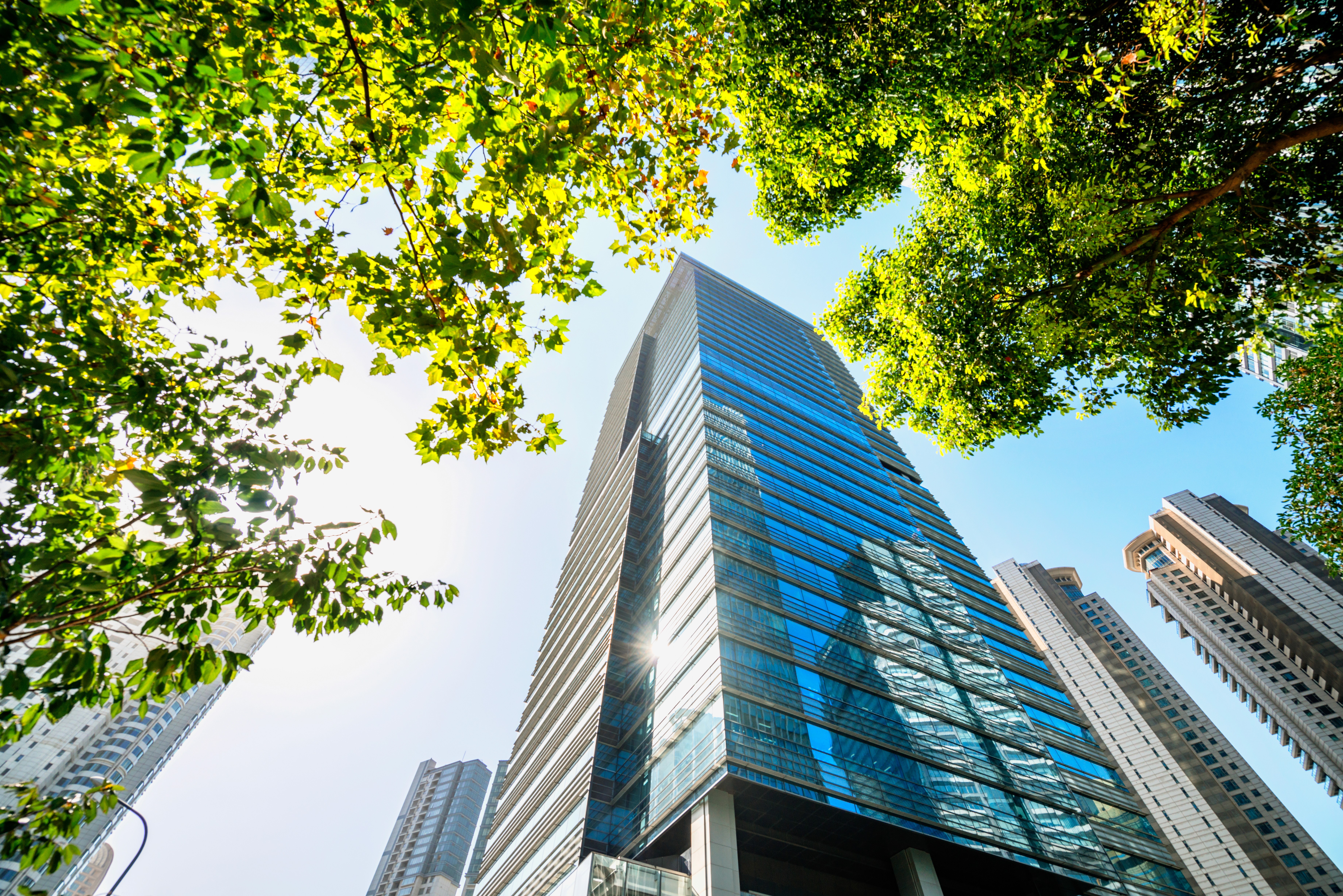 A smiling man with curly hair is sitting at a desk, looking at the camera, with a laptop and a lamp in the background.