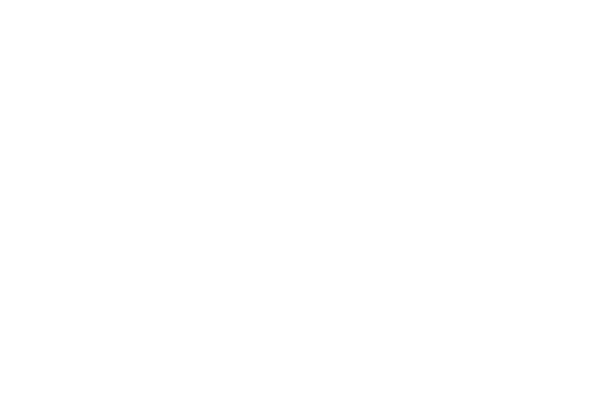 Logo for an imagined company