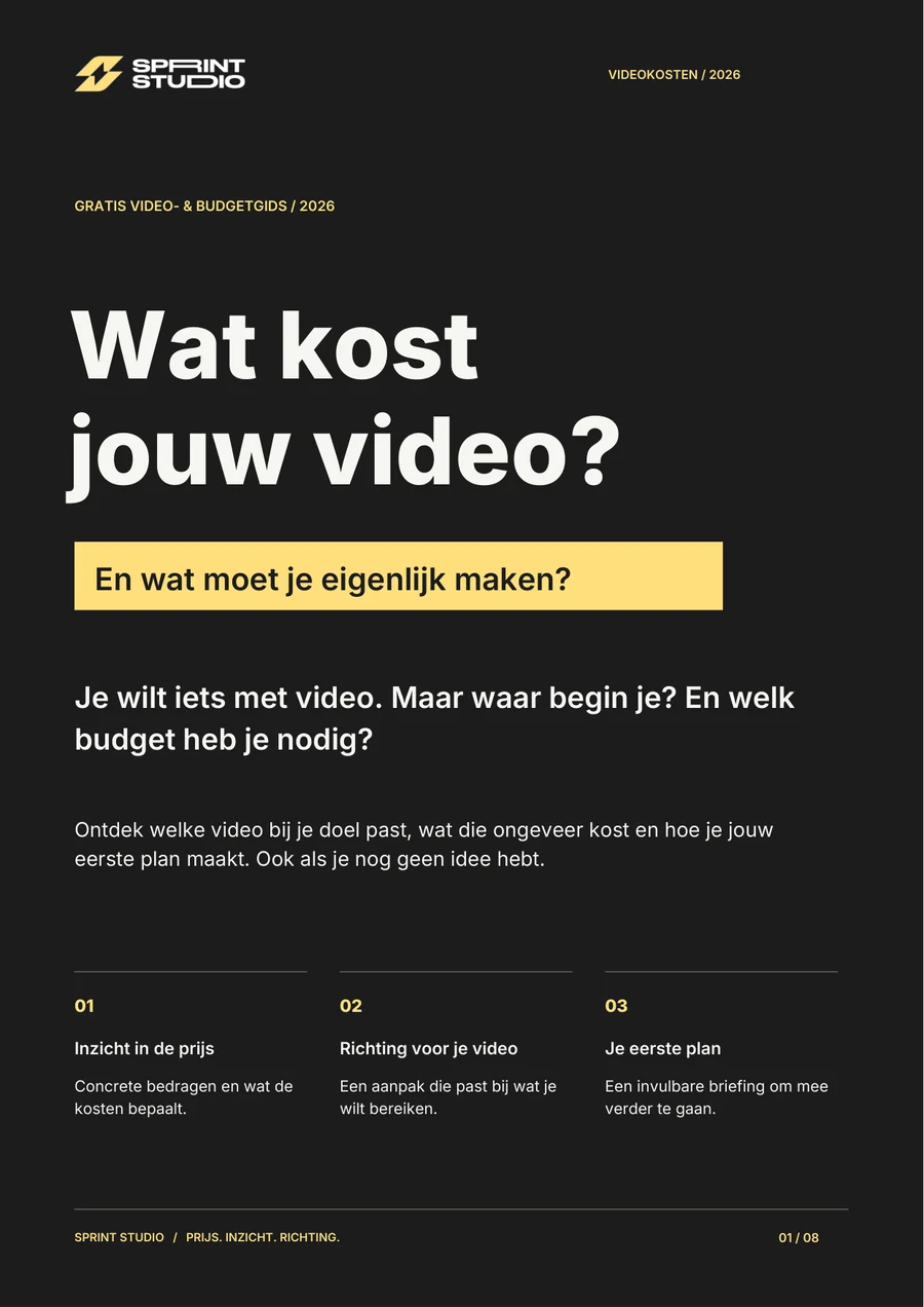 Voorkant van de gratis videokosten gids 2026