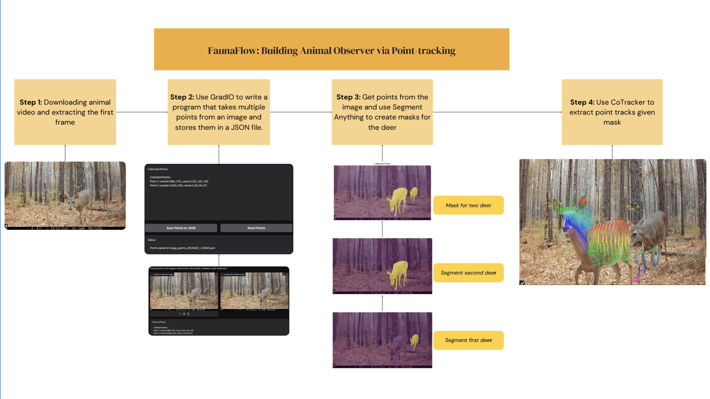 Diagram showcasing the project process