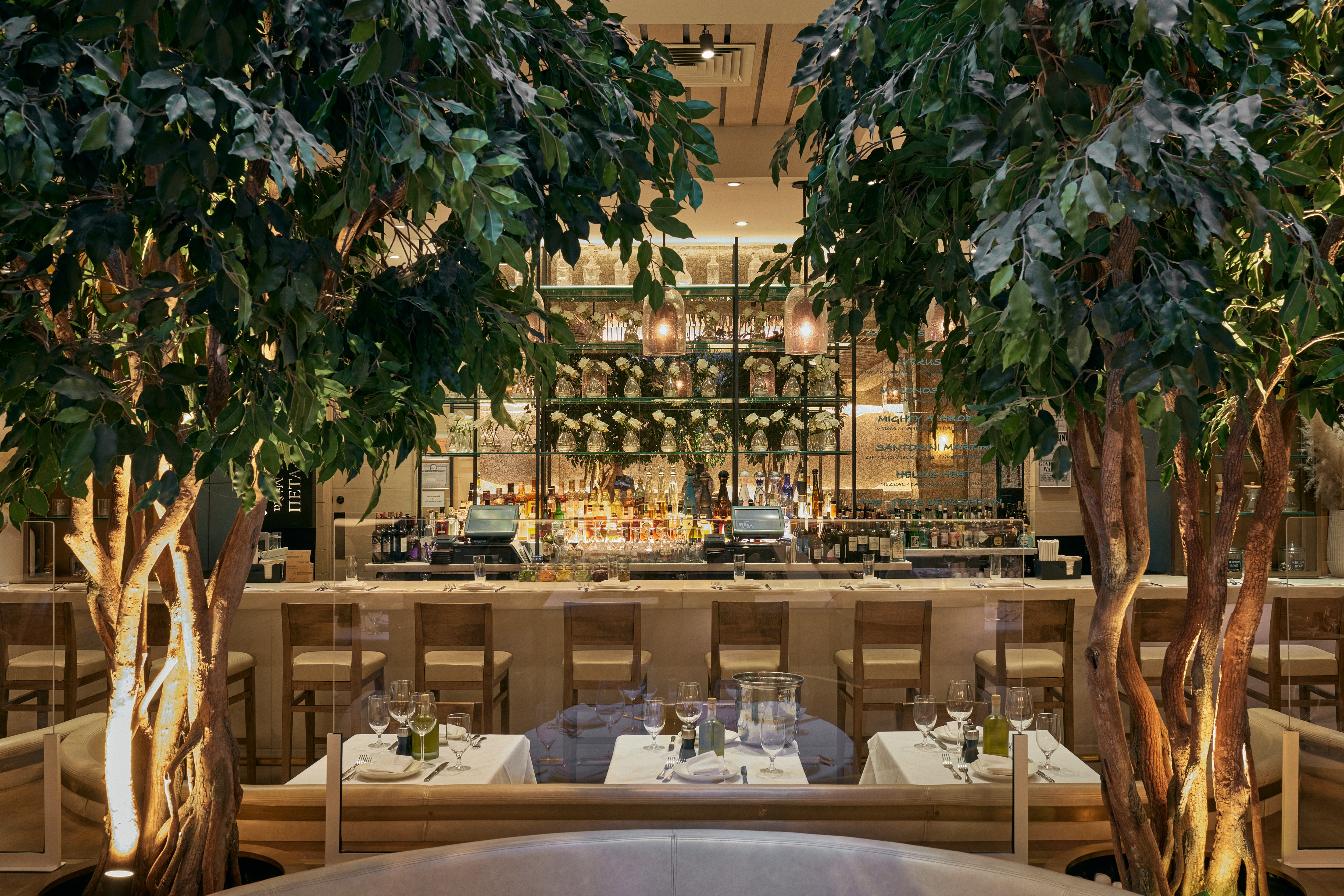 A beautifully designed indoor space featuring lush greenery and elegant decor, creating a serene atmosphere.