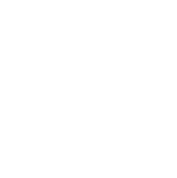 Hypoallergenic icon