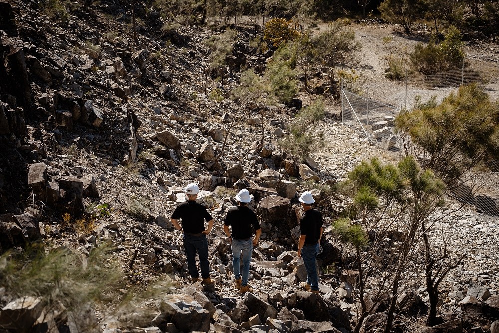 green trees near river during daytime