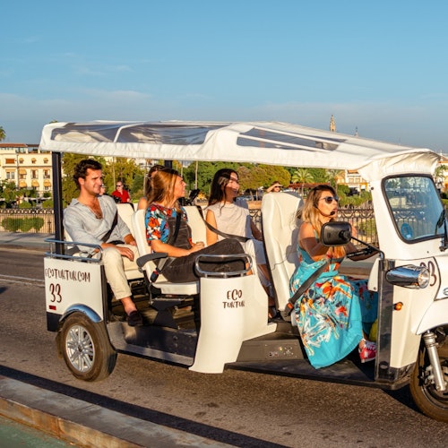 塞維利亞：私人電動嘟嘟車兩小時旅遊票
