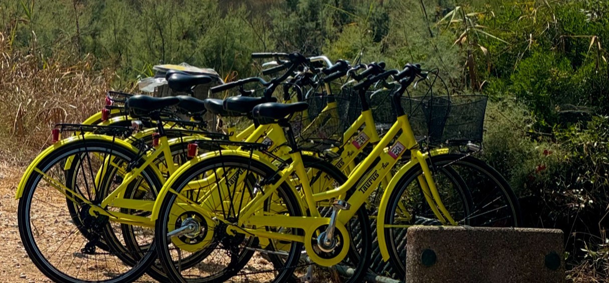 Scientist in laboratorium