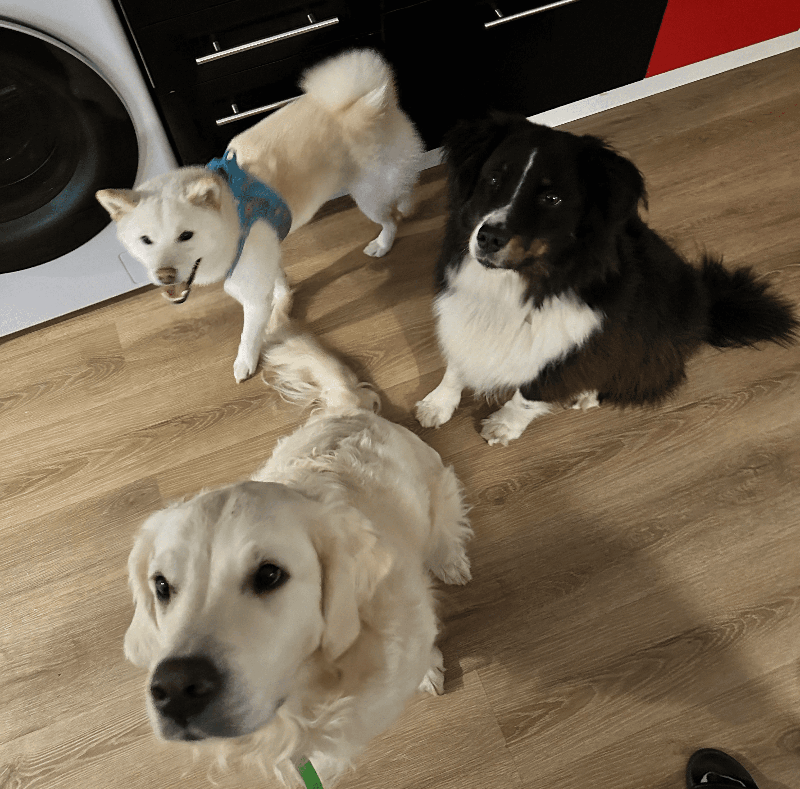 Una&Co Photo Garde à Domicile