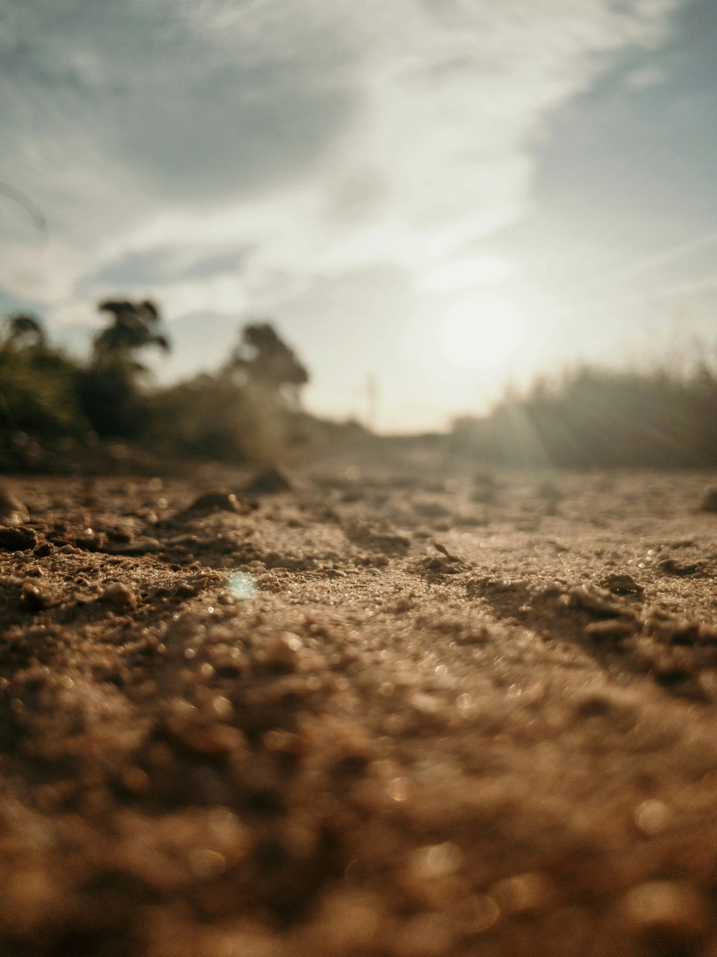 brown soil under white sky during daytime