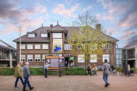 dakgoot schoonmaken Beneden leeuwen